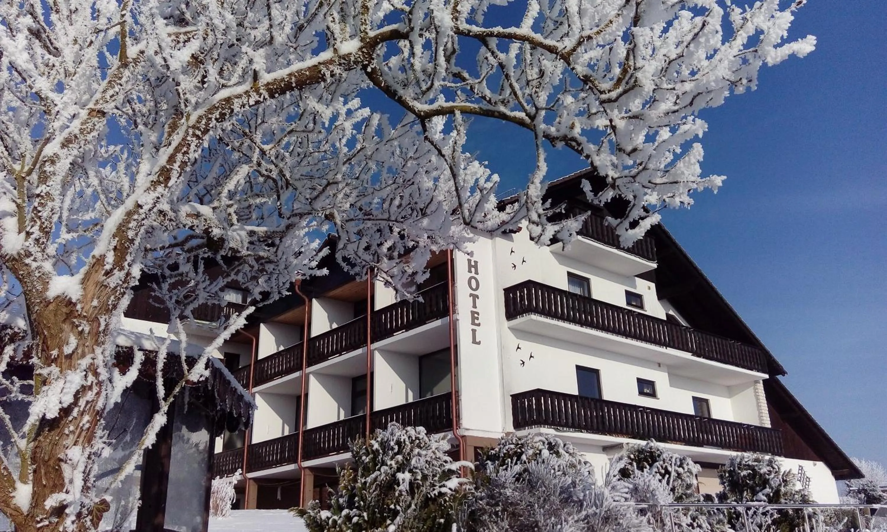 Garni Hotel & Ferienwohnungen Seeschlößchen