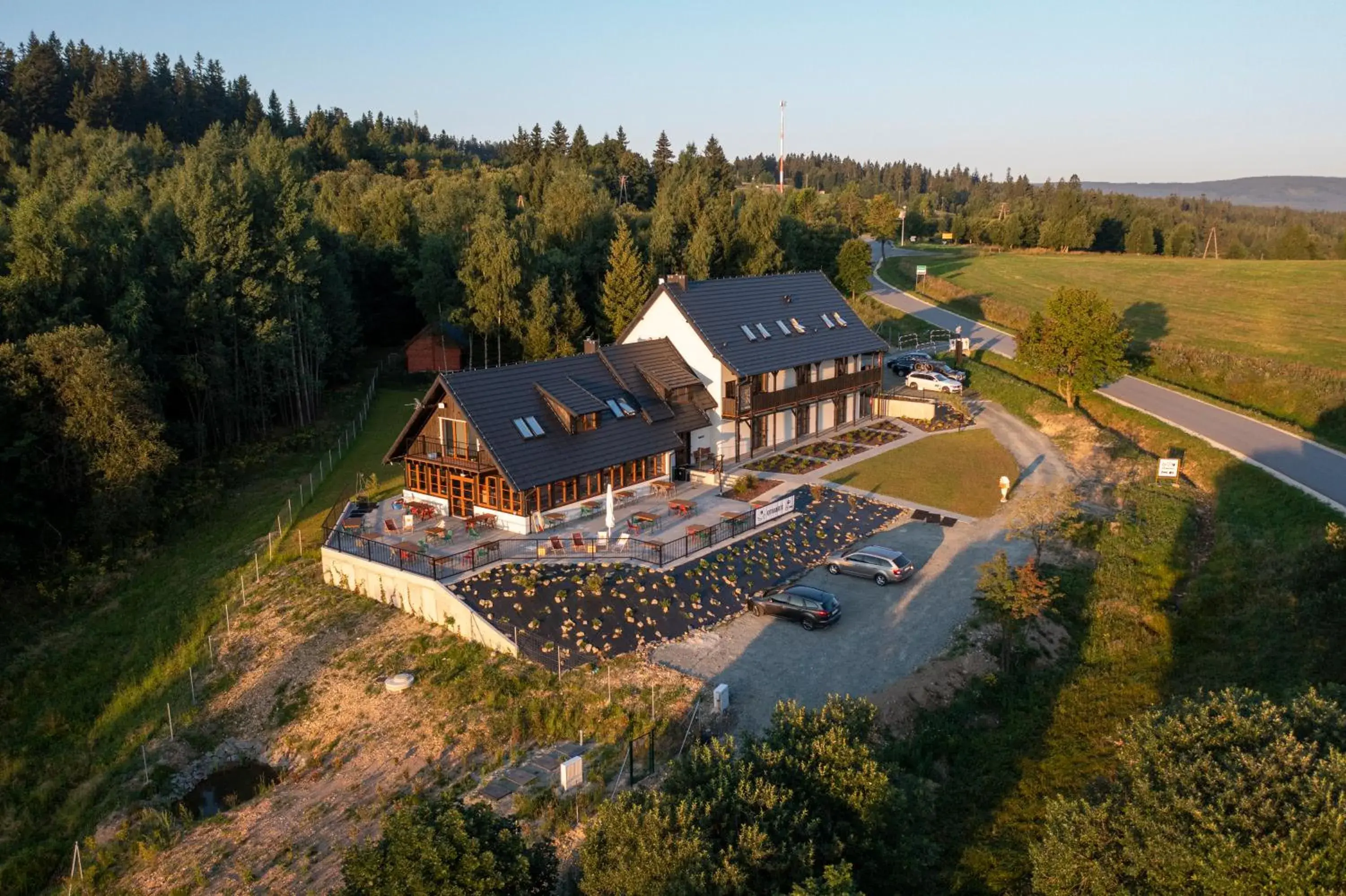 Owca z widokiem Owca z widokiem