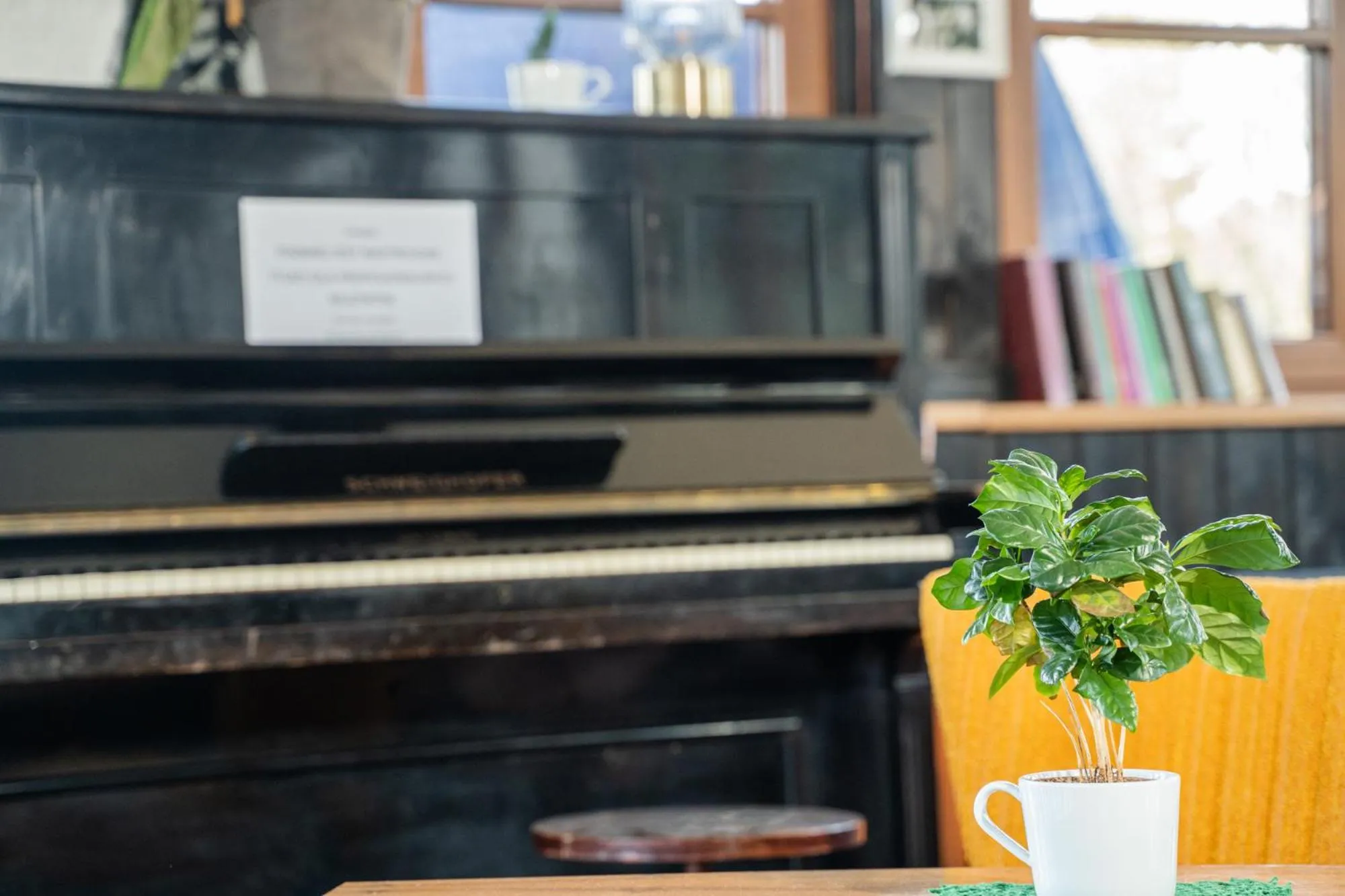 Communal lounge/ TV room in Owca z widokiem