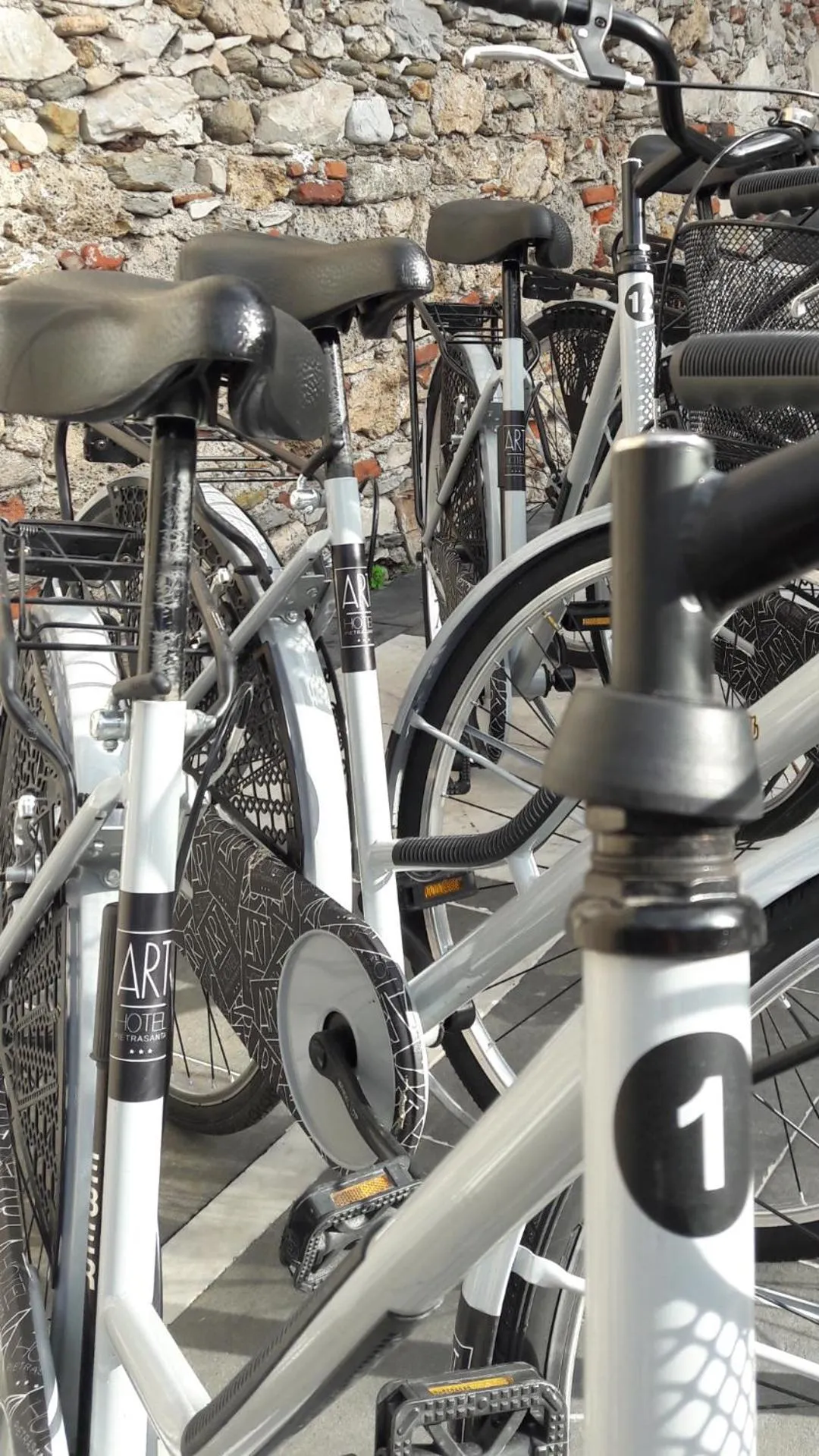 Cycling in Art Hotel Pietrasanta