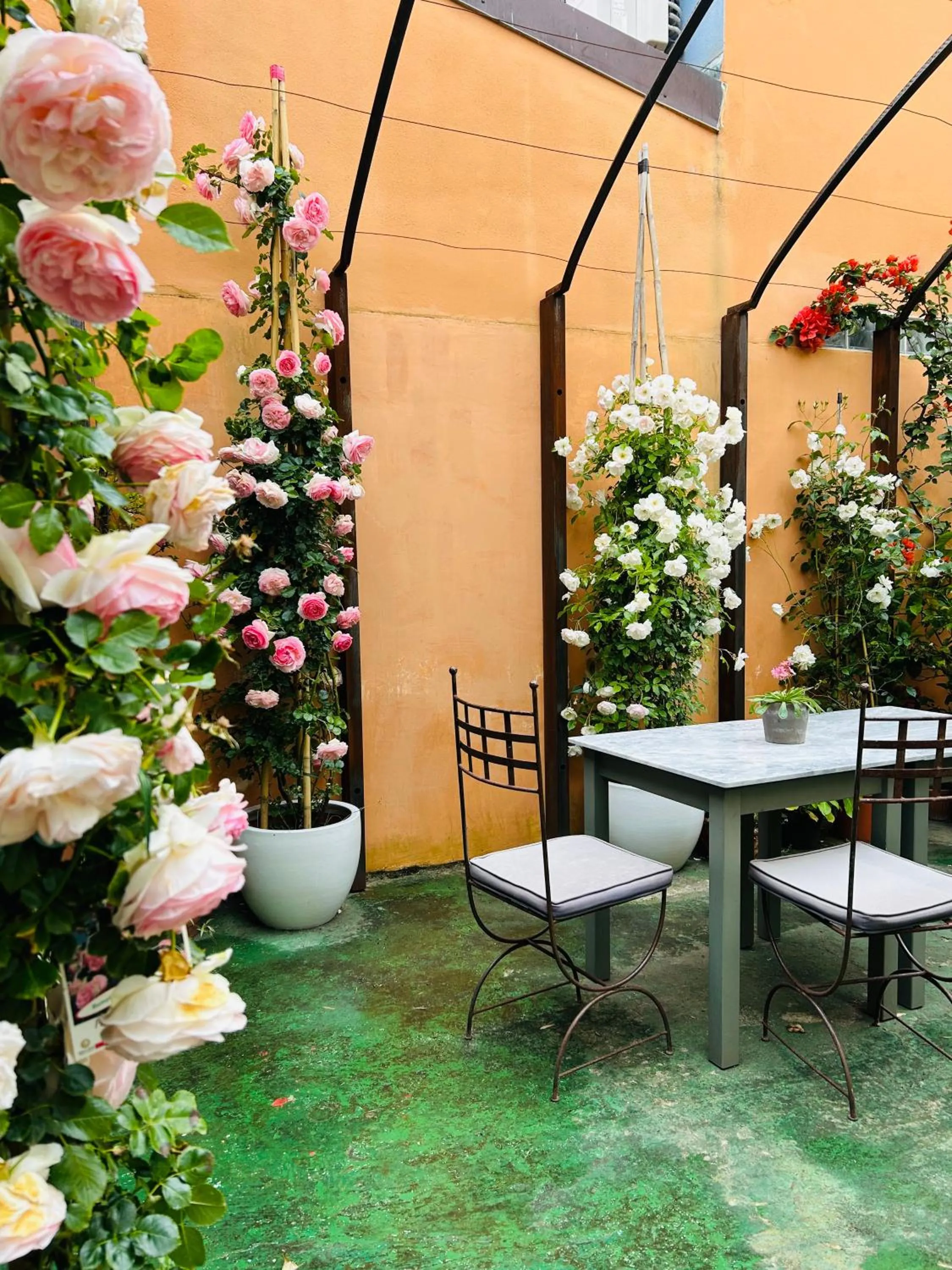 Garden in Art Hotel Pietrasanta