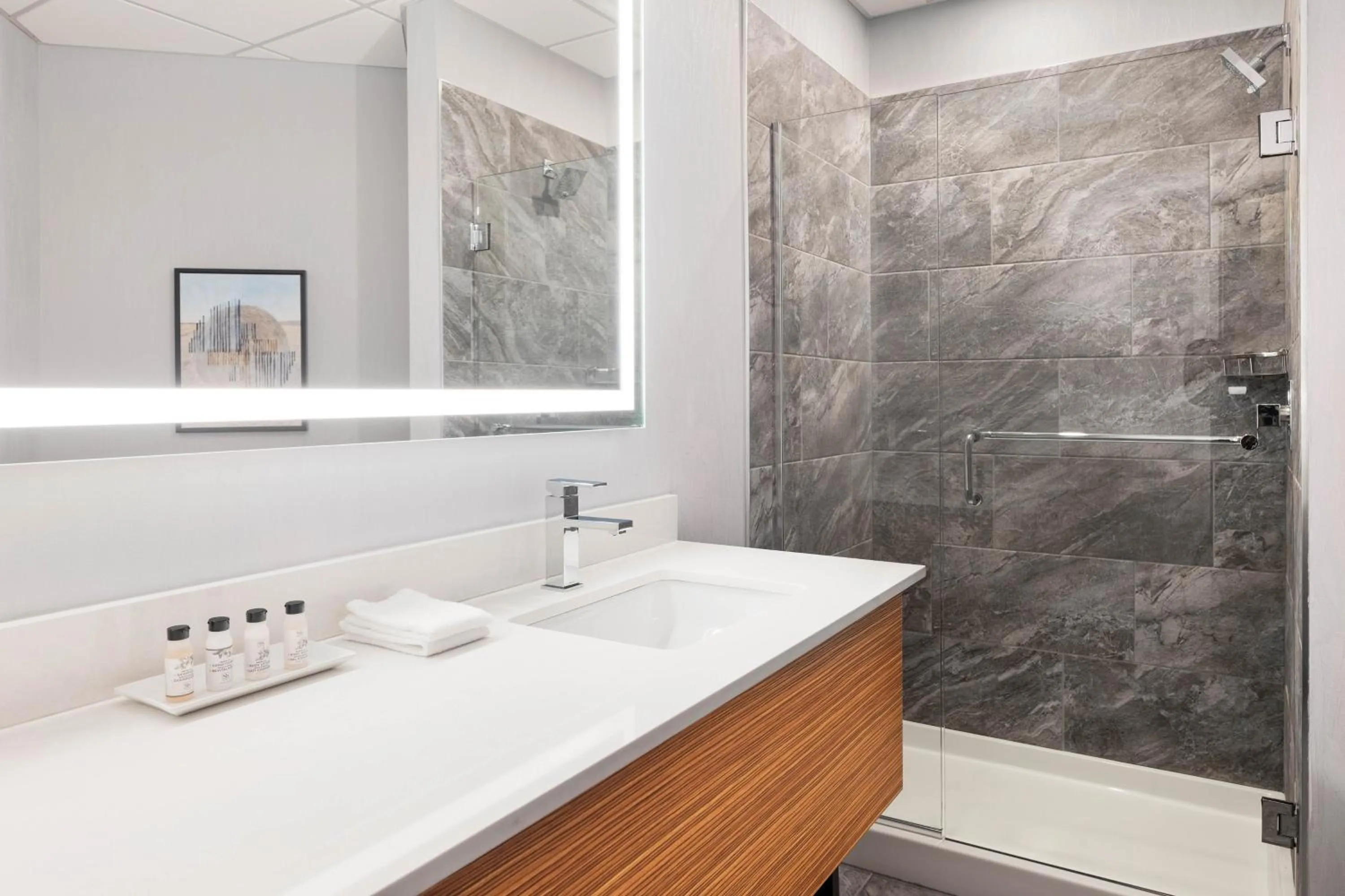 Bathroom in Delta Hotels by Marriott Grande Prairie Airport