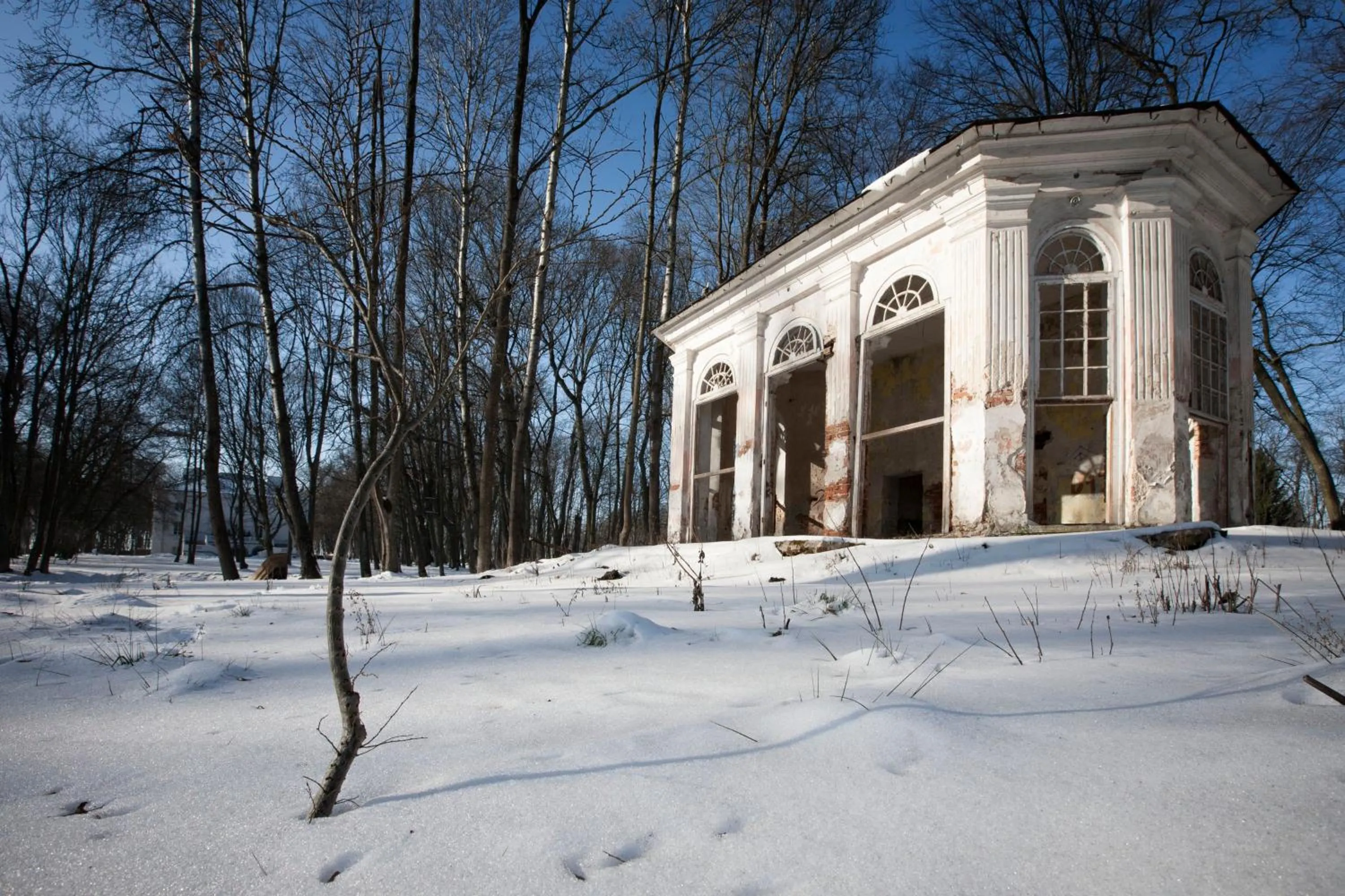 Activities in Pałac Cieleśnica