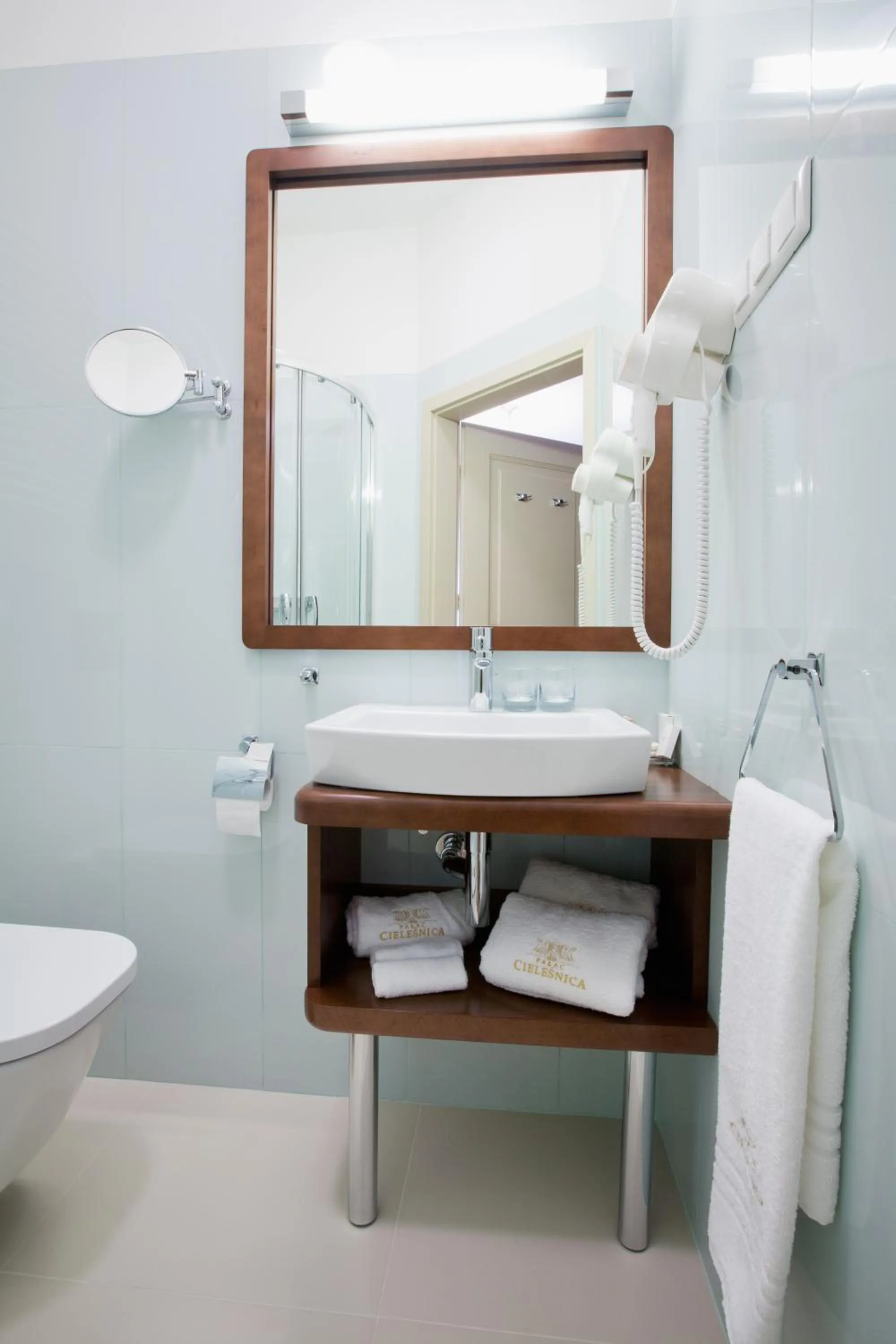 Toilet in Pałac Cieleśnica