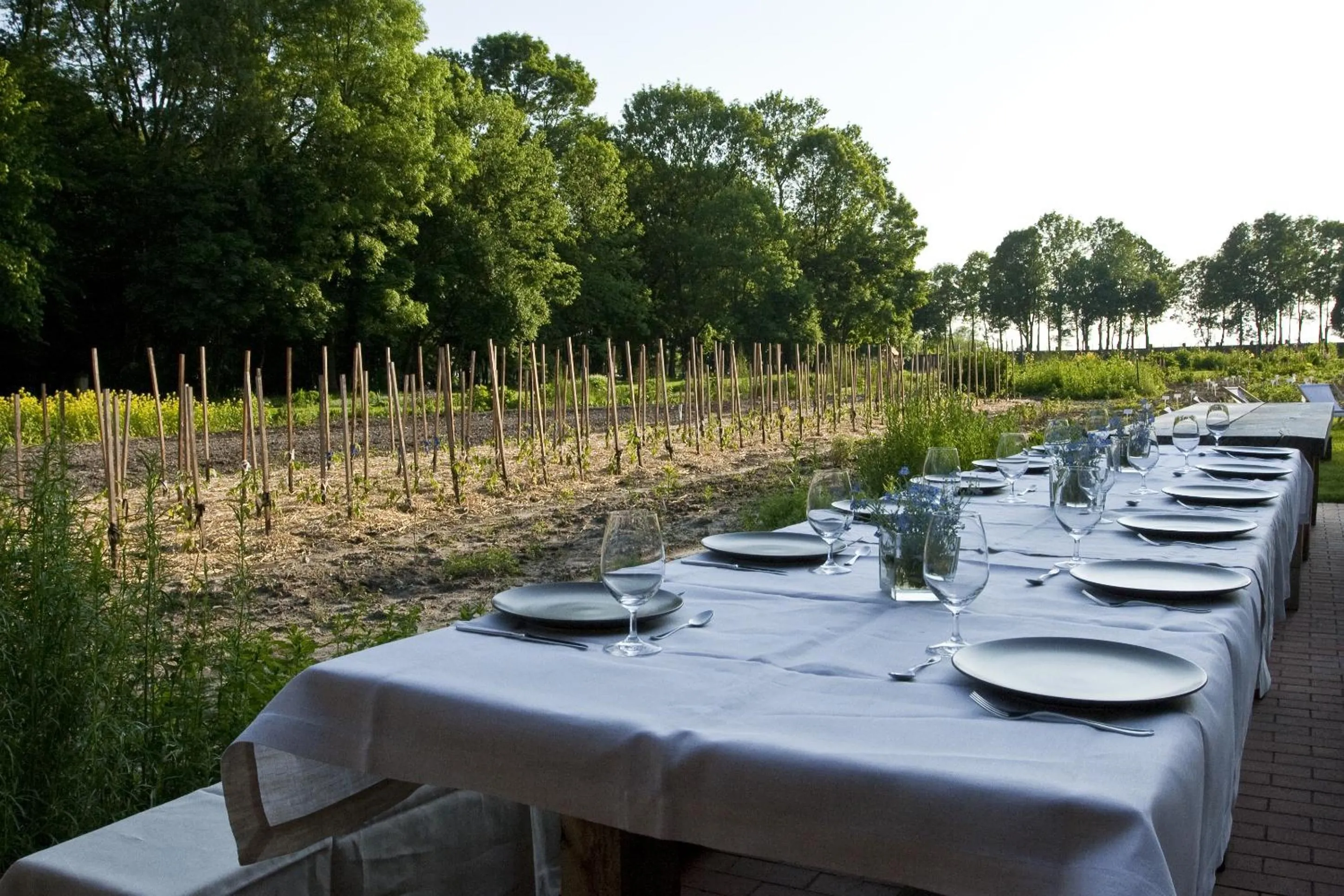 Patio in Pałac Cieleśnica