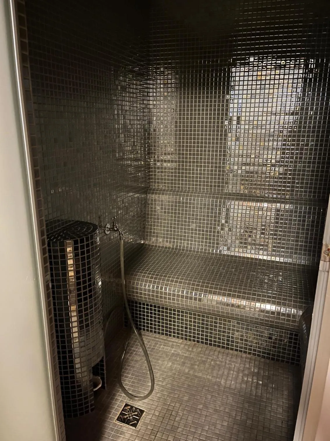 Sauna in Pałac Cieleśnica