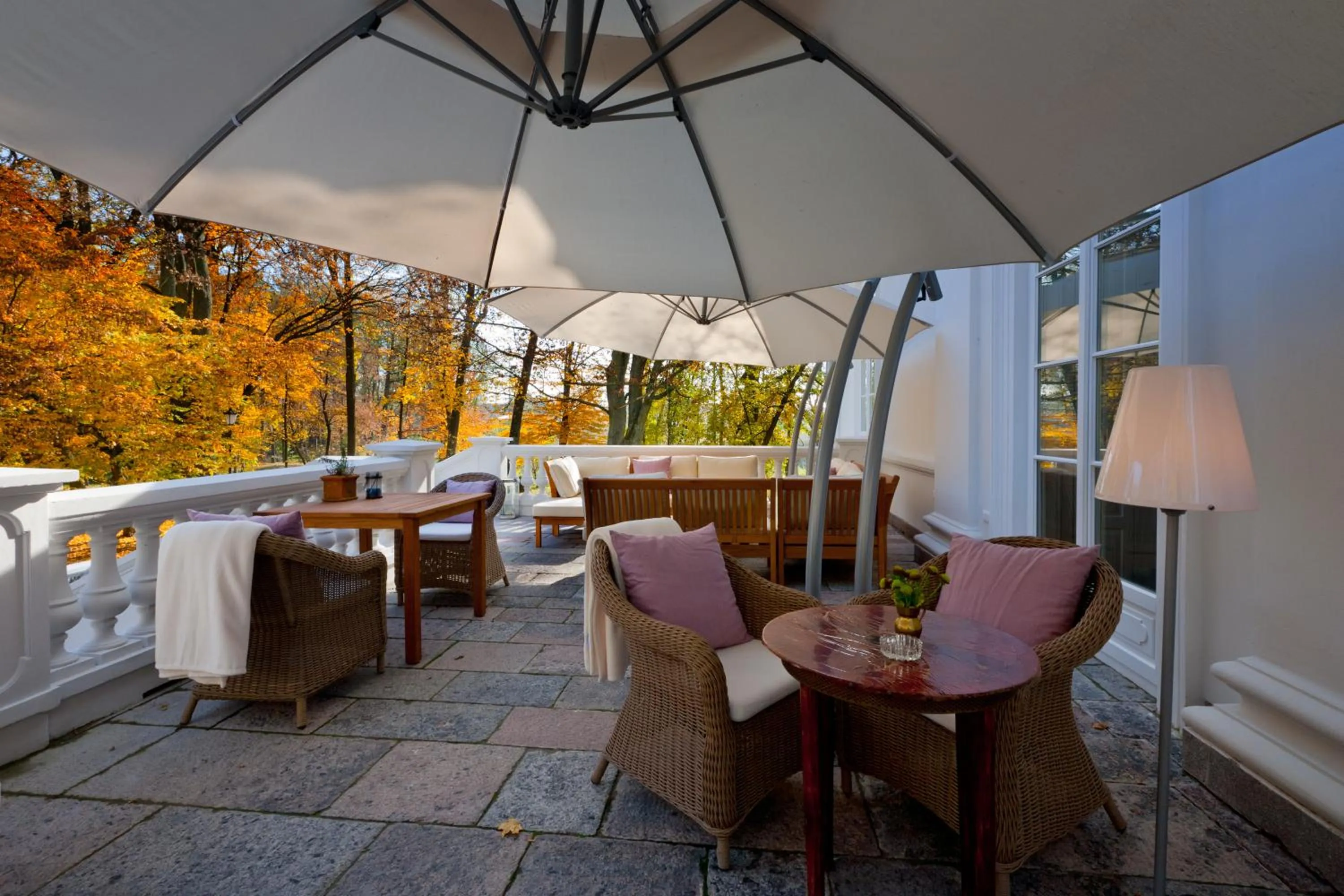Balcony/Terrace in Pałac Cieleśnica