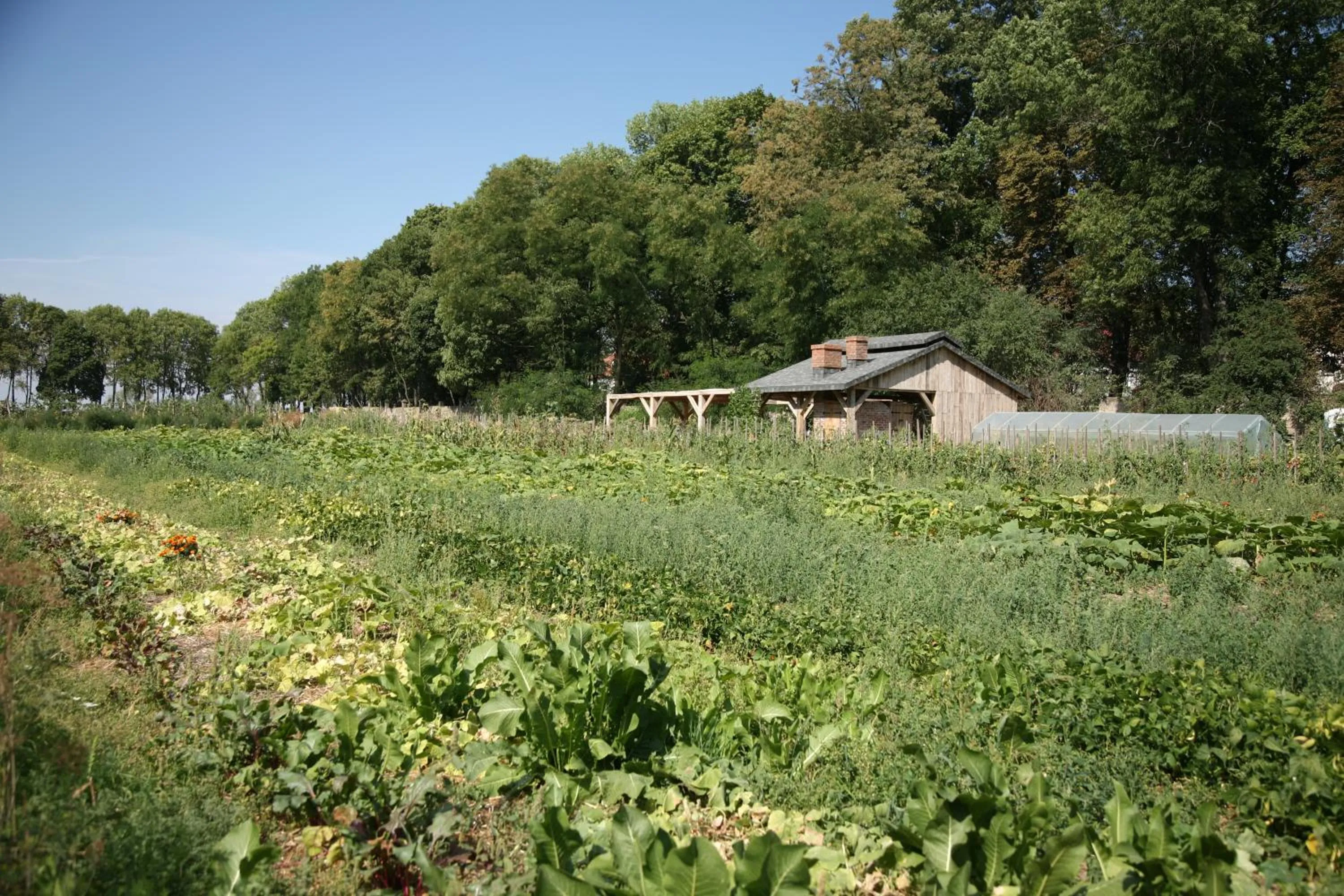 Neighbourhood in Pałac Cieleśnica