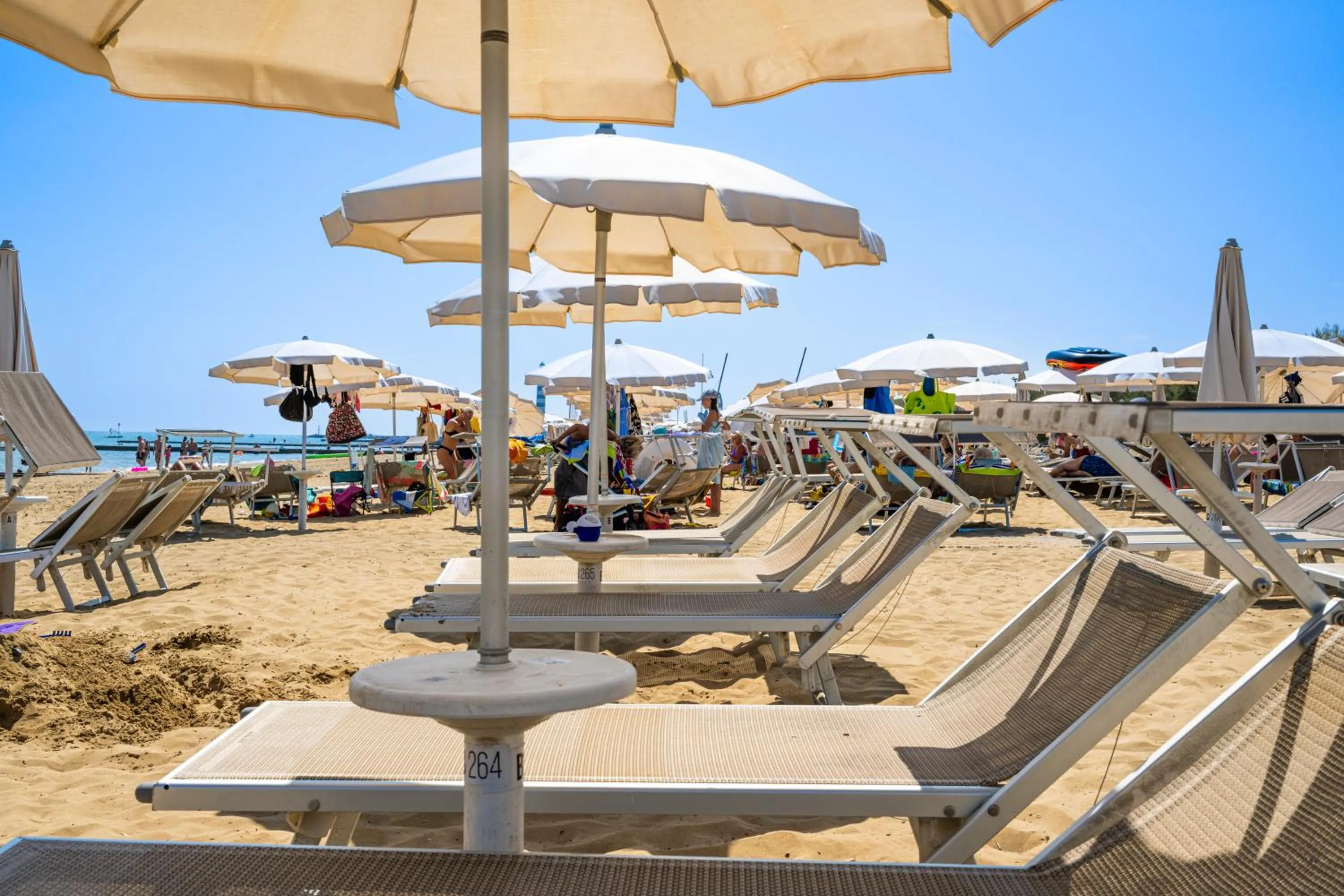 Natural landscape in Hotel La Siesta