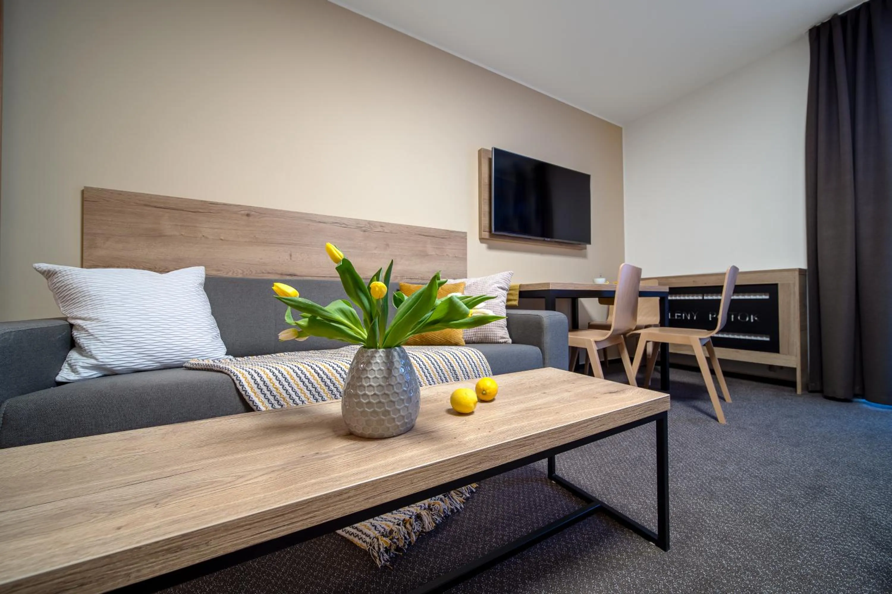 TV and multimedia in Hotel Zelený potok