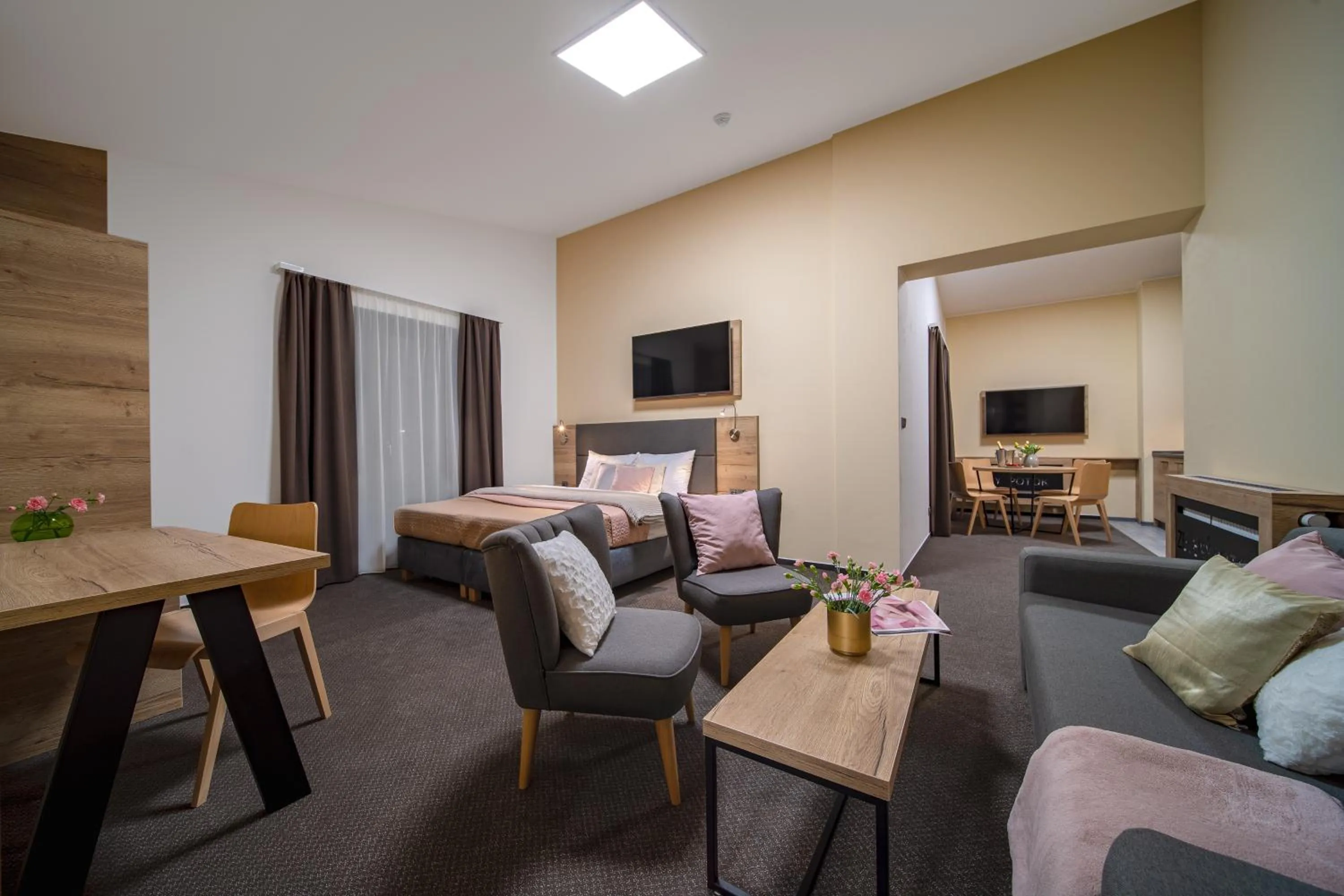 TV and multimedia in Hotel Zelený potok