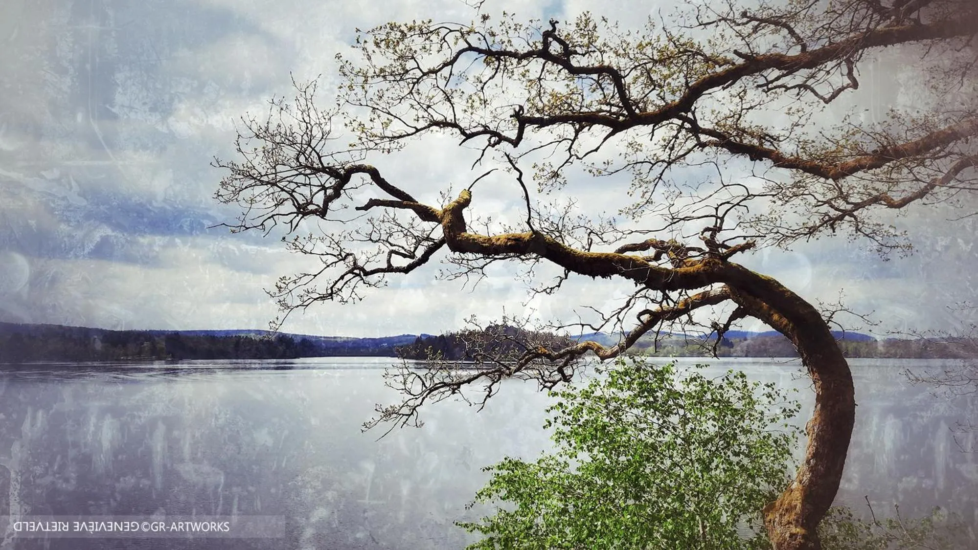 Chambre d'hôte Le Châtaignier