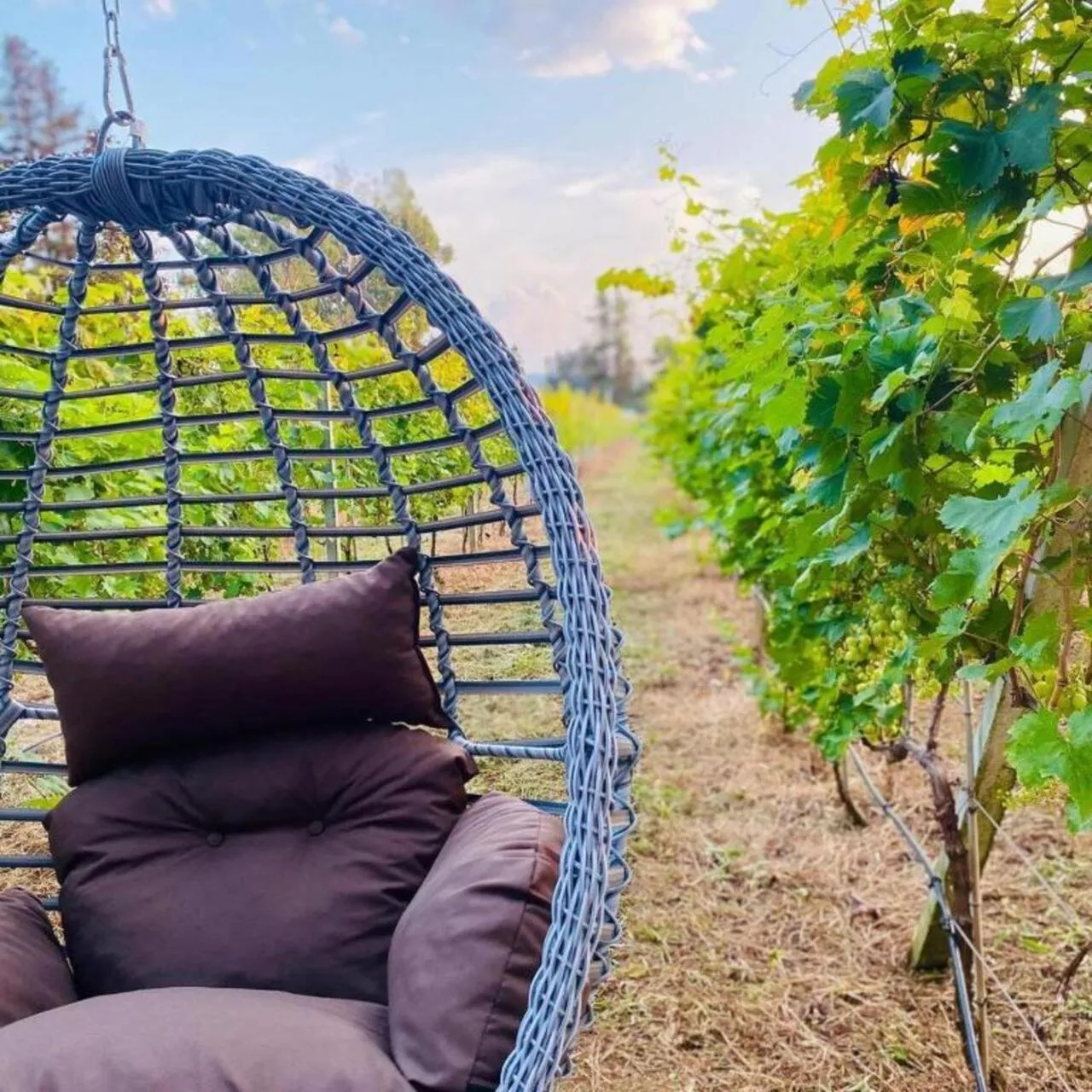 Garden in Hotel Chateau Kvirike