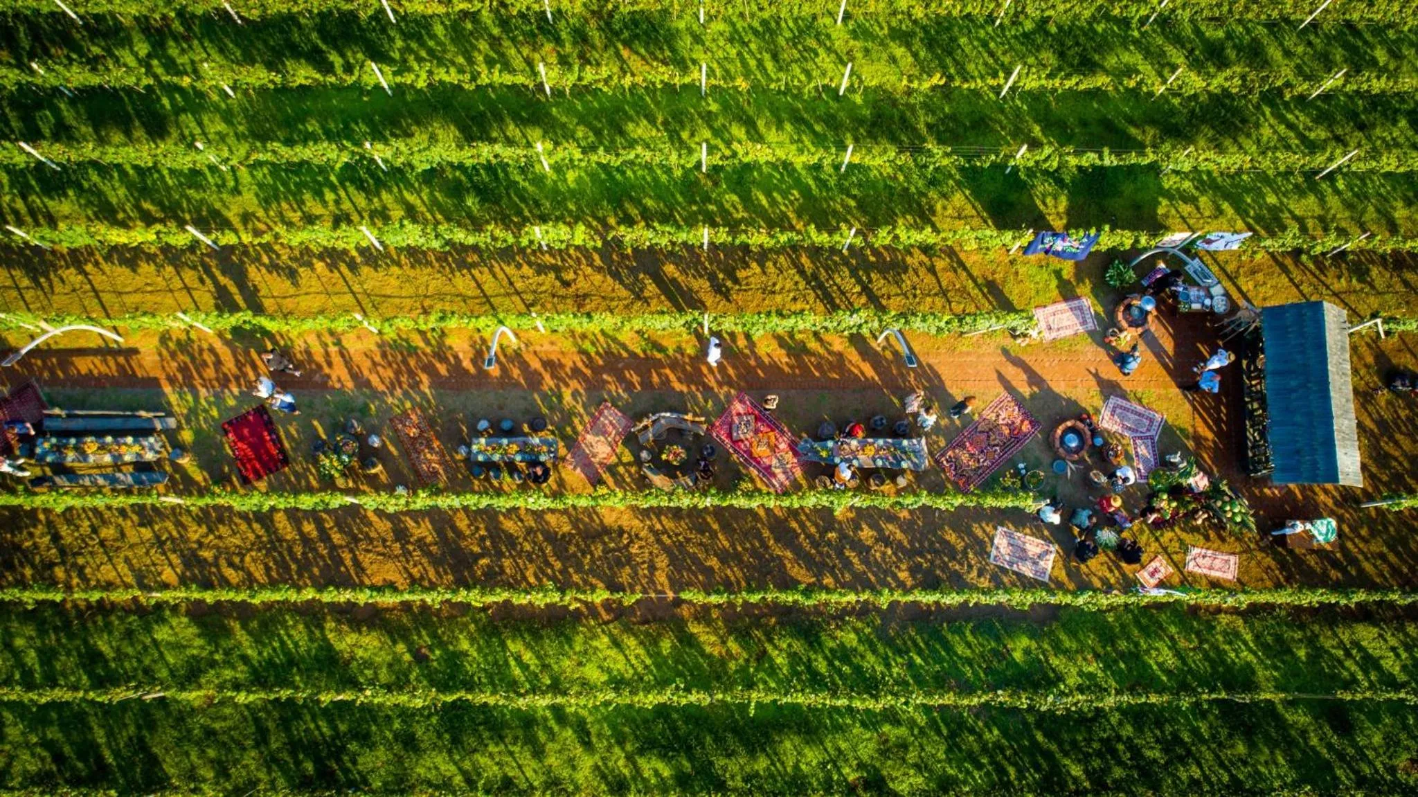 Natural landscape in Hotel Chateau Kvirike