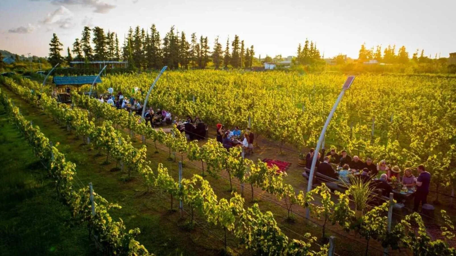 group of guests in Hotel Chateau Kvirike
