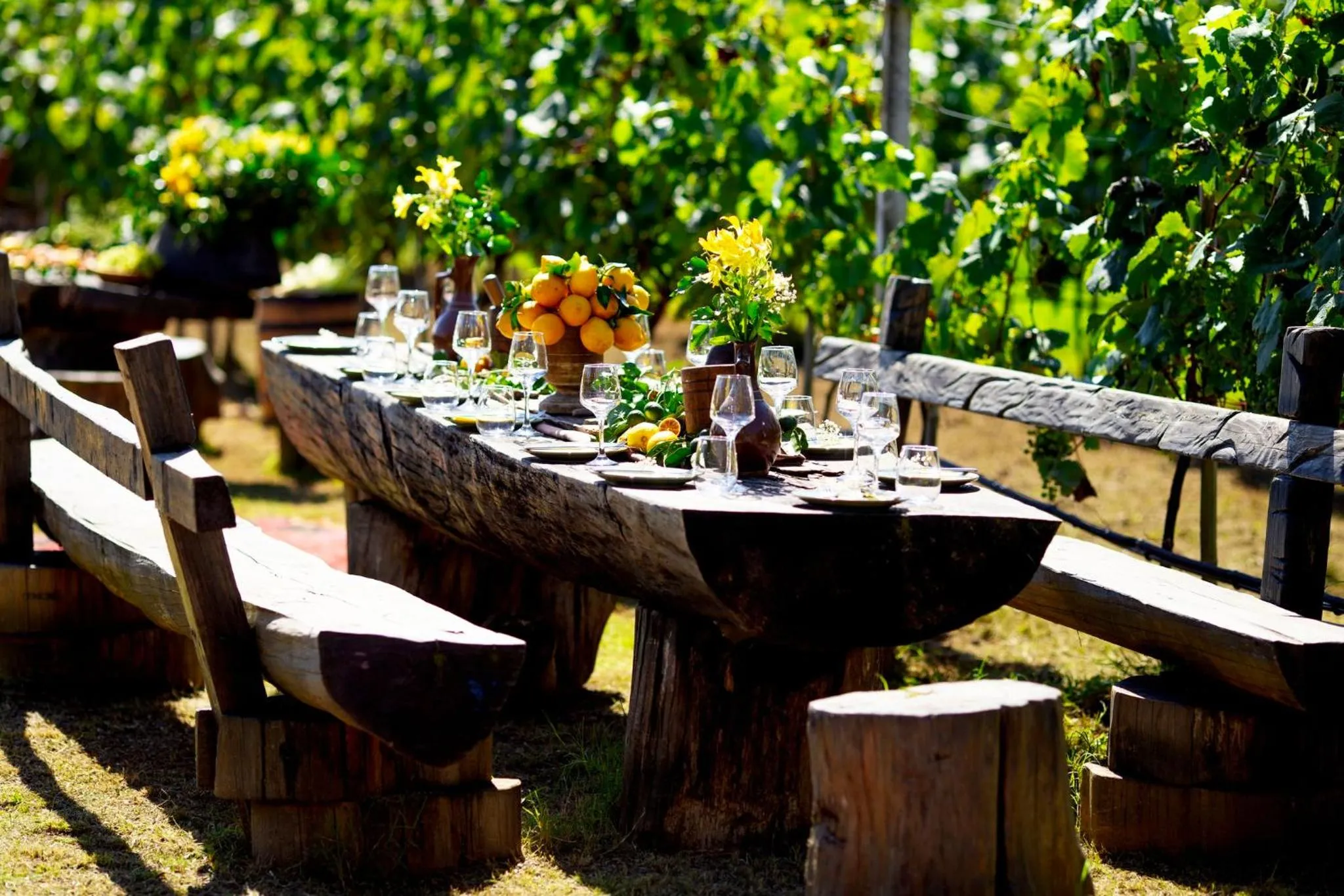 Entertainment in Hotel Chateau Kvirike