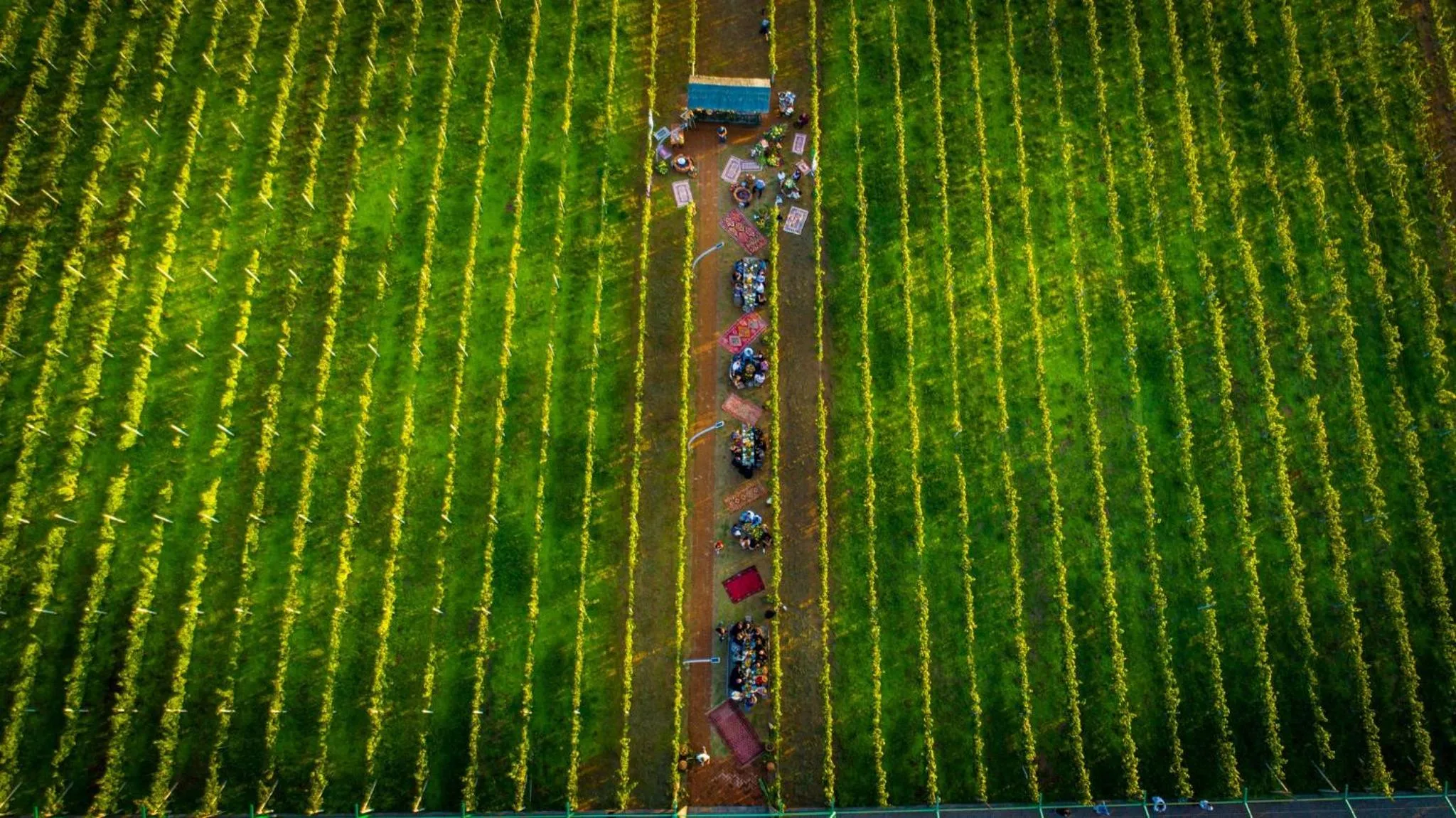 group of guests in Hotel Chateau Kvirike