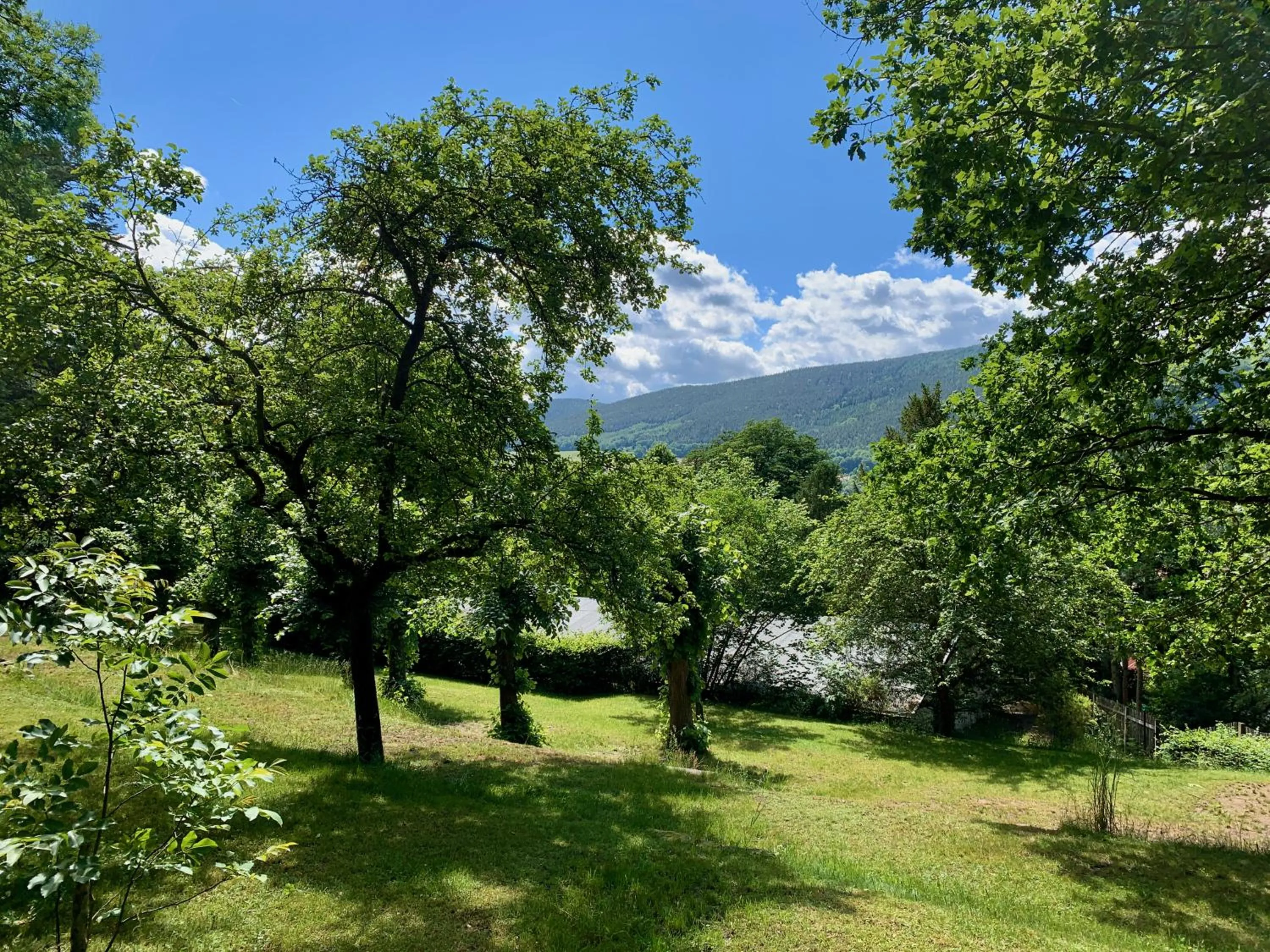 Garden in Villa Frieden Hotel & Seminarhaus