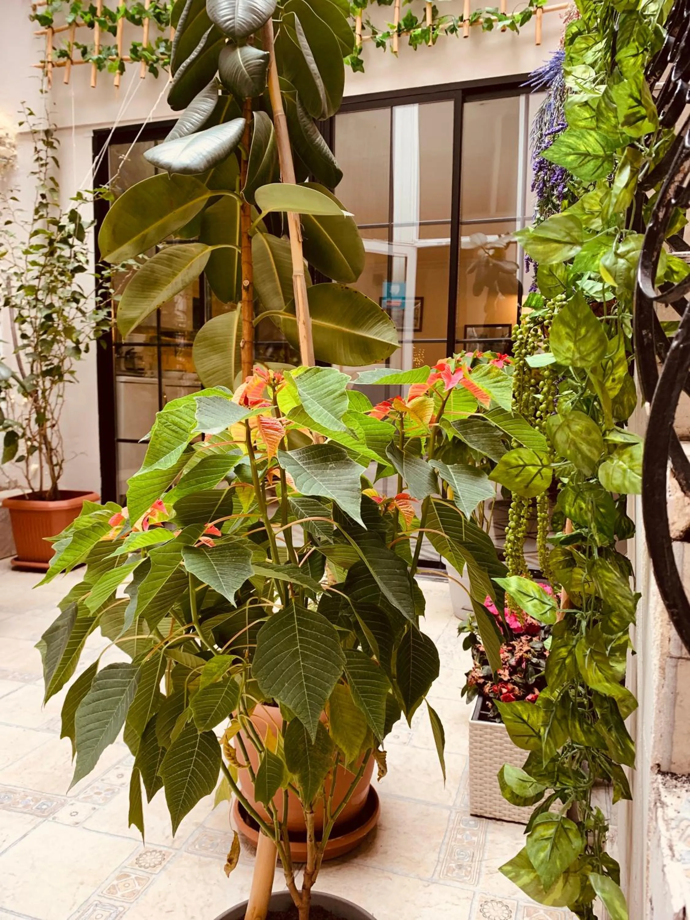 Restaurant/places to eat in Moss Art Boutique Hotel