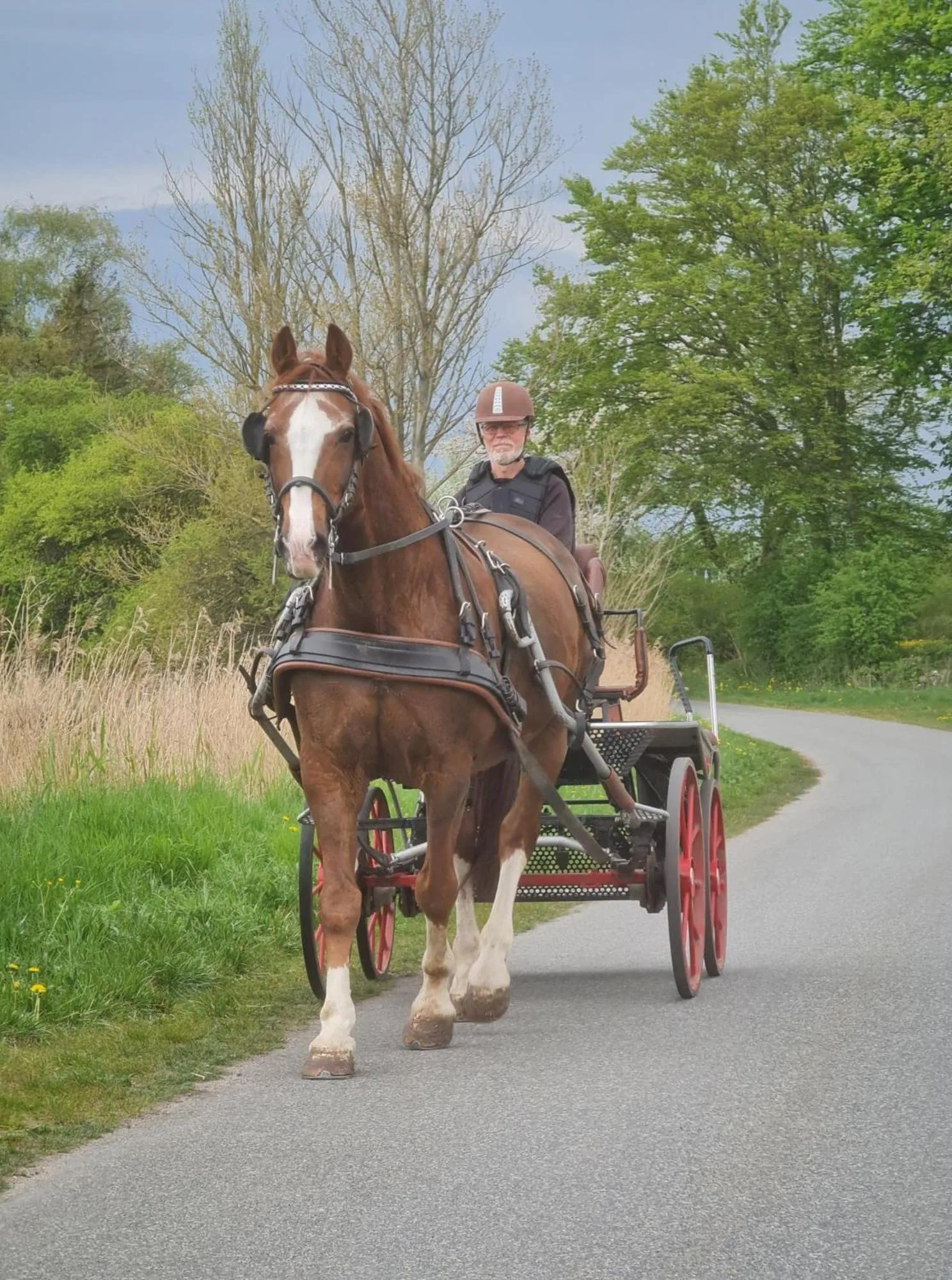 Day in Hotel Stokkegaarden's BnB & Apartments