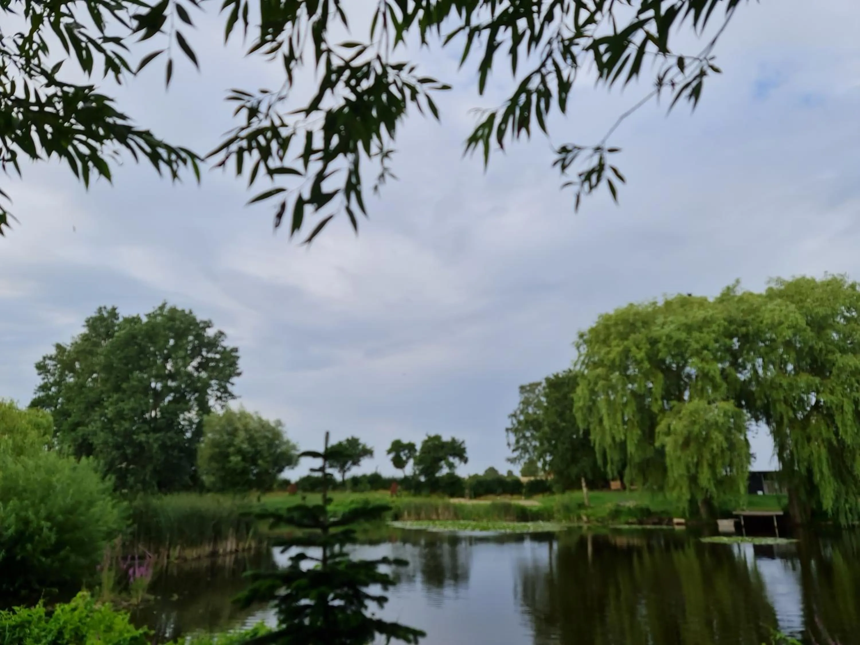 Natural landscape in Hotel Stokkegaarden's BnB & Apartments