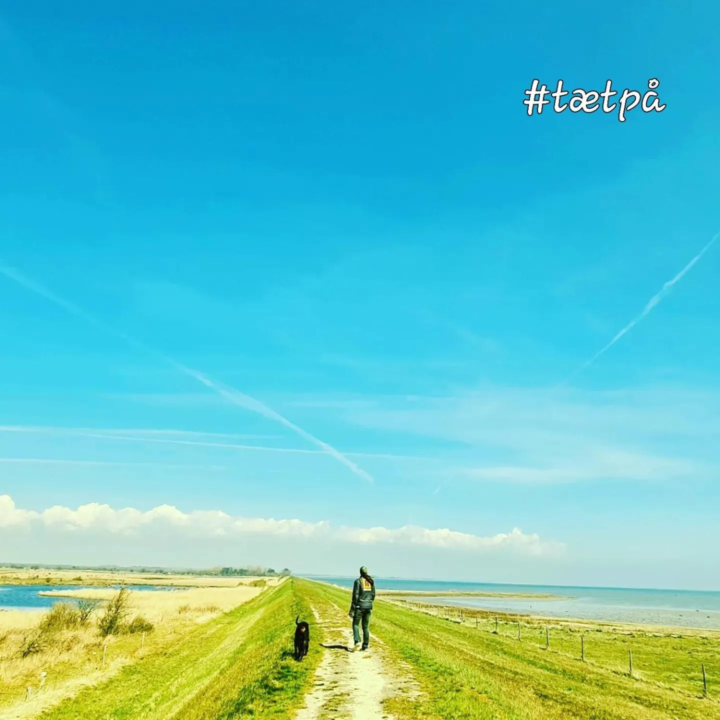 Day in Hotel Stokkegaarden's BnB & Apartments