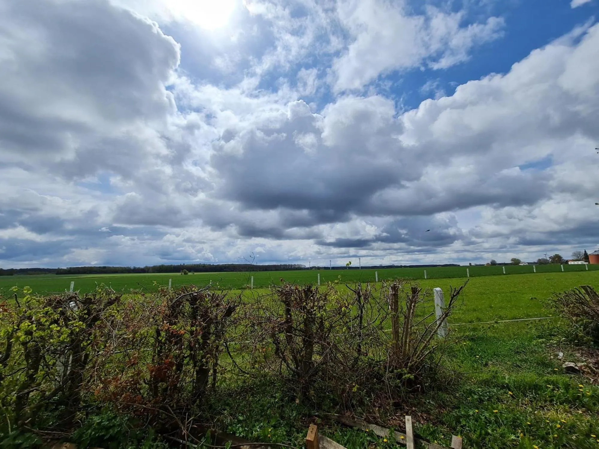 Spring in Hotel Stokkegaarden's BnB & Apartments