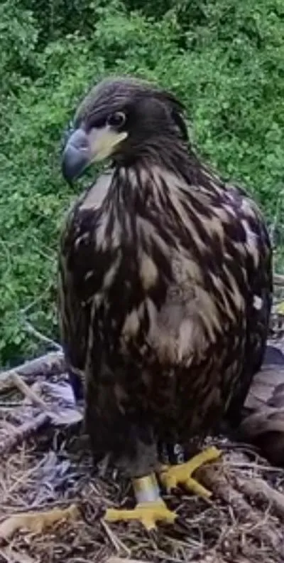 Nearby landmark in Hotel Stokkegaarden's BnB & Apartments