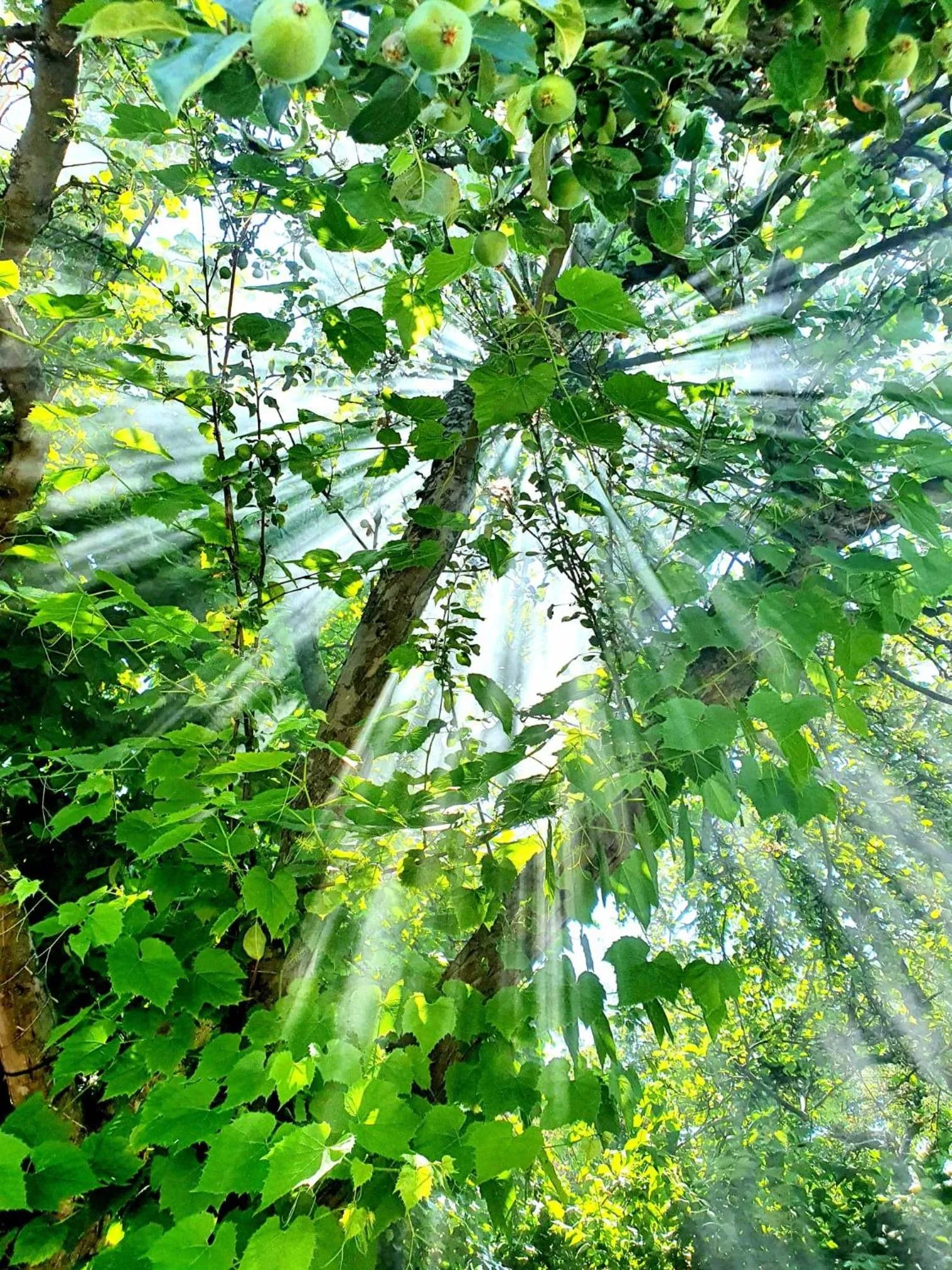 Property building in Hotel Stokkegaarden's BnB & Apartments