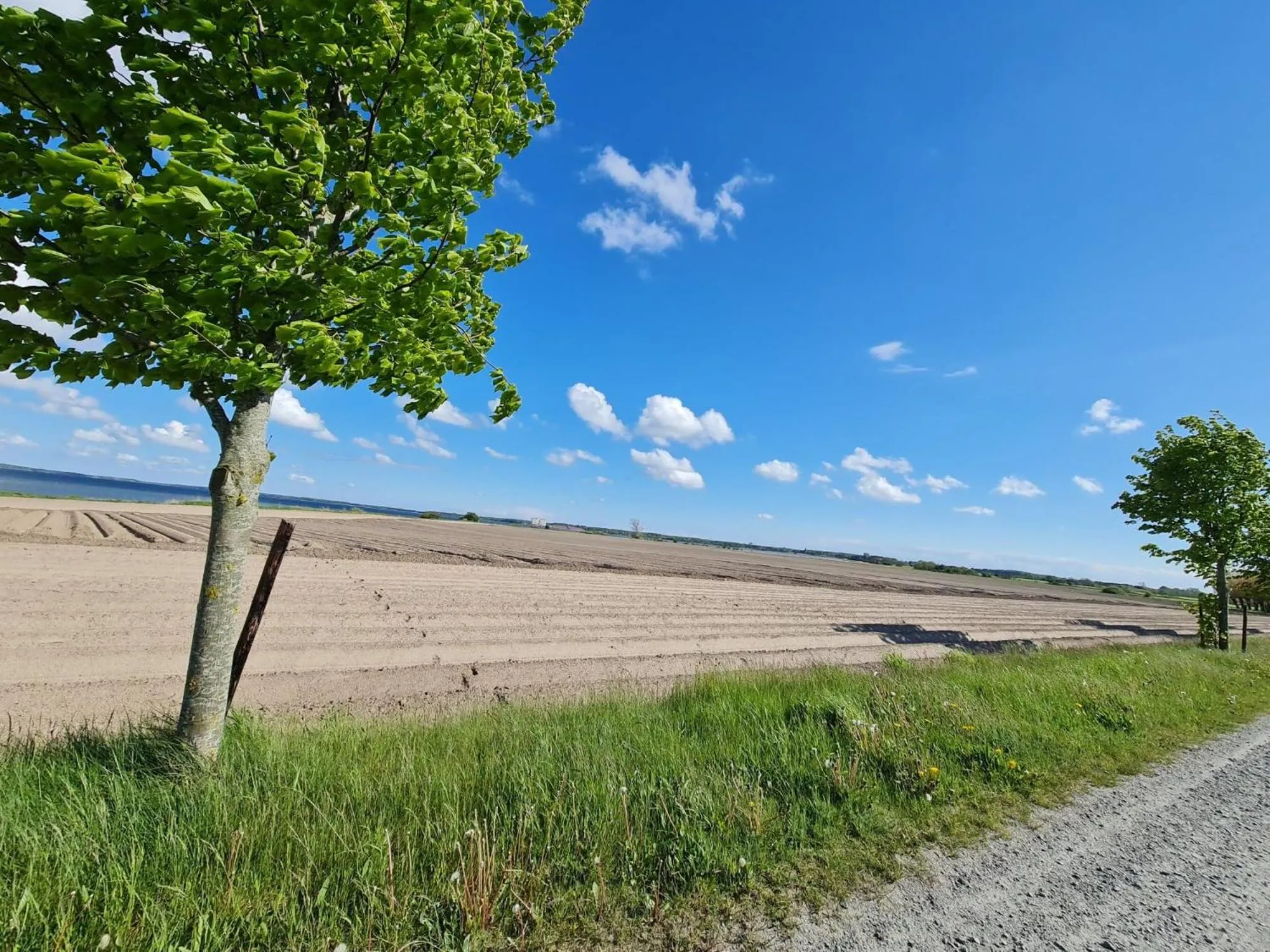 Spring in Hotel Stokkegaarden's BnB & Apartments