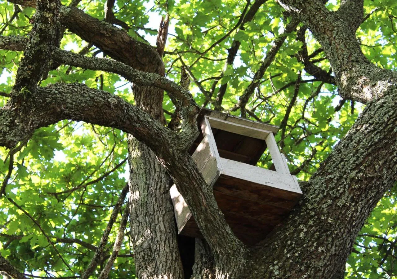 Garden in Moolmanshof 1798, Traditional Cape Dutch H-Shaped Farmhouse