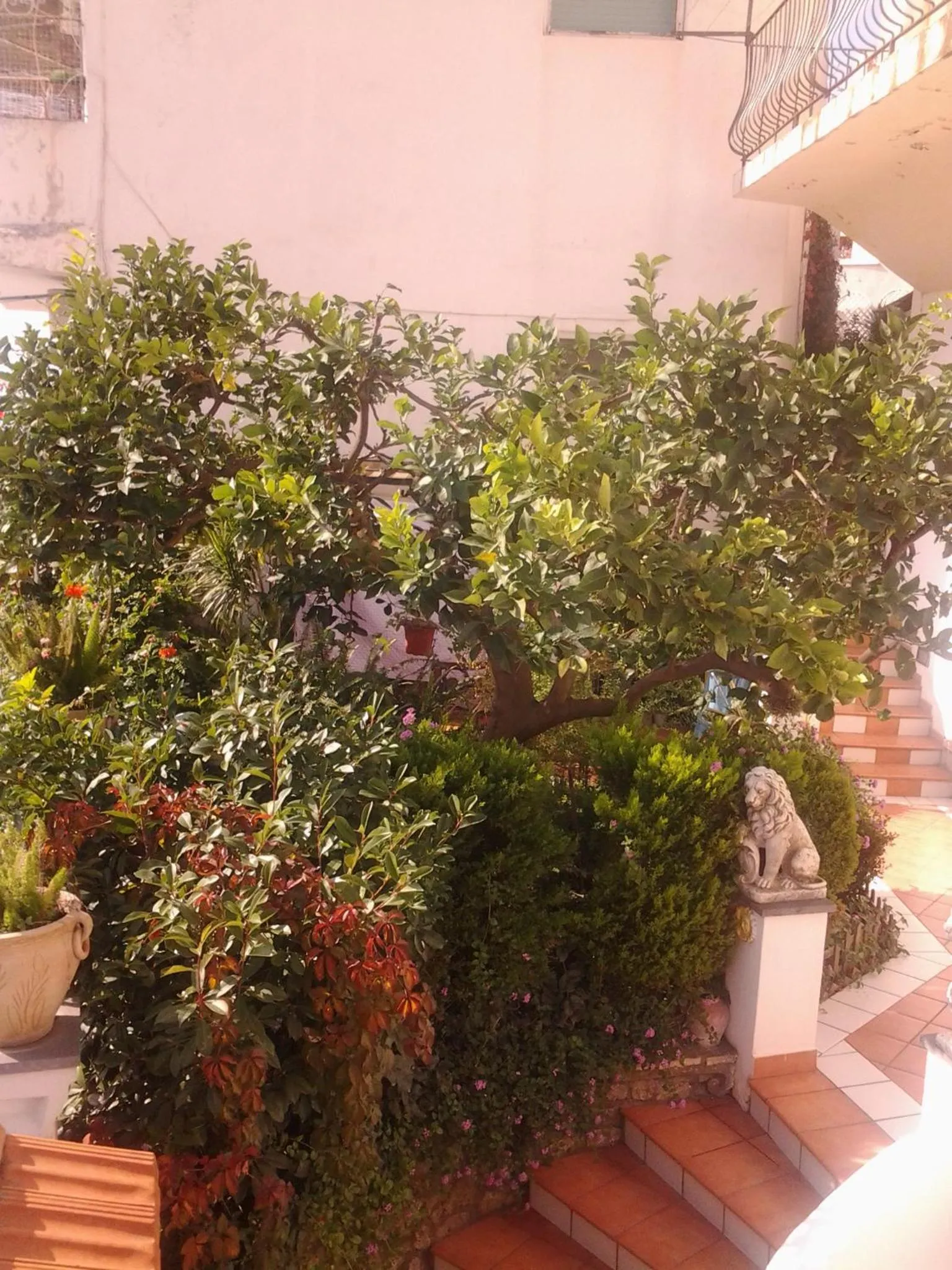 Facade/entrance in B&B Angelide