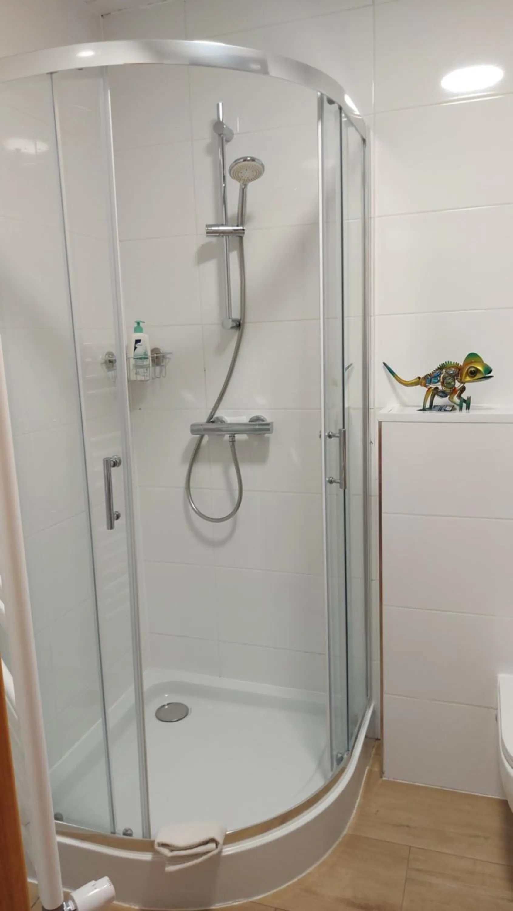 Shower in B&B Emarik