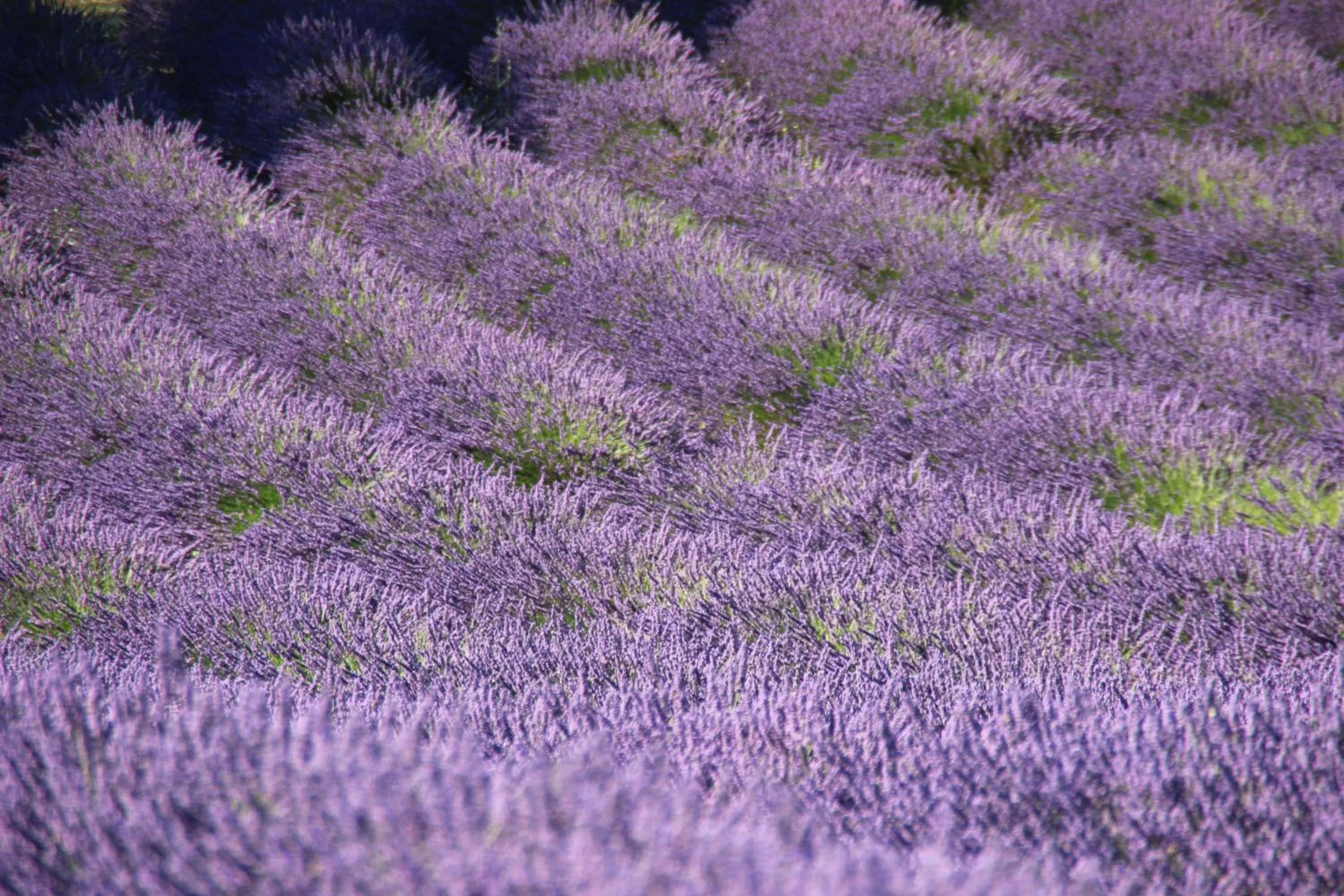 Natural landscape in Chambres d'hôtes Elisa & Etienne