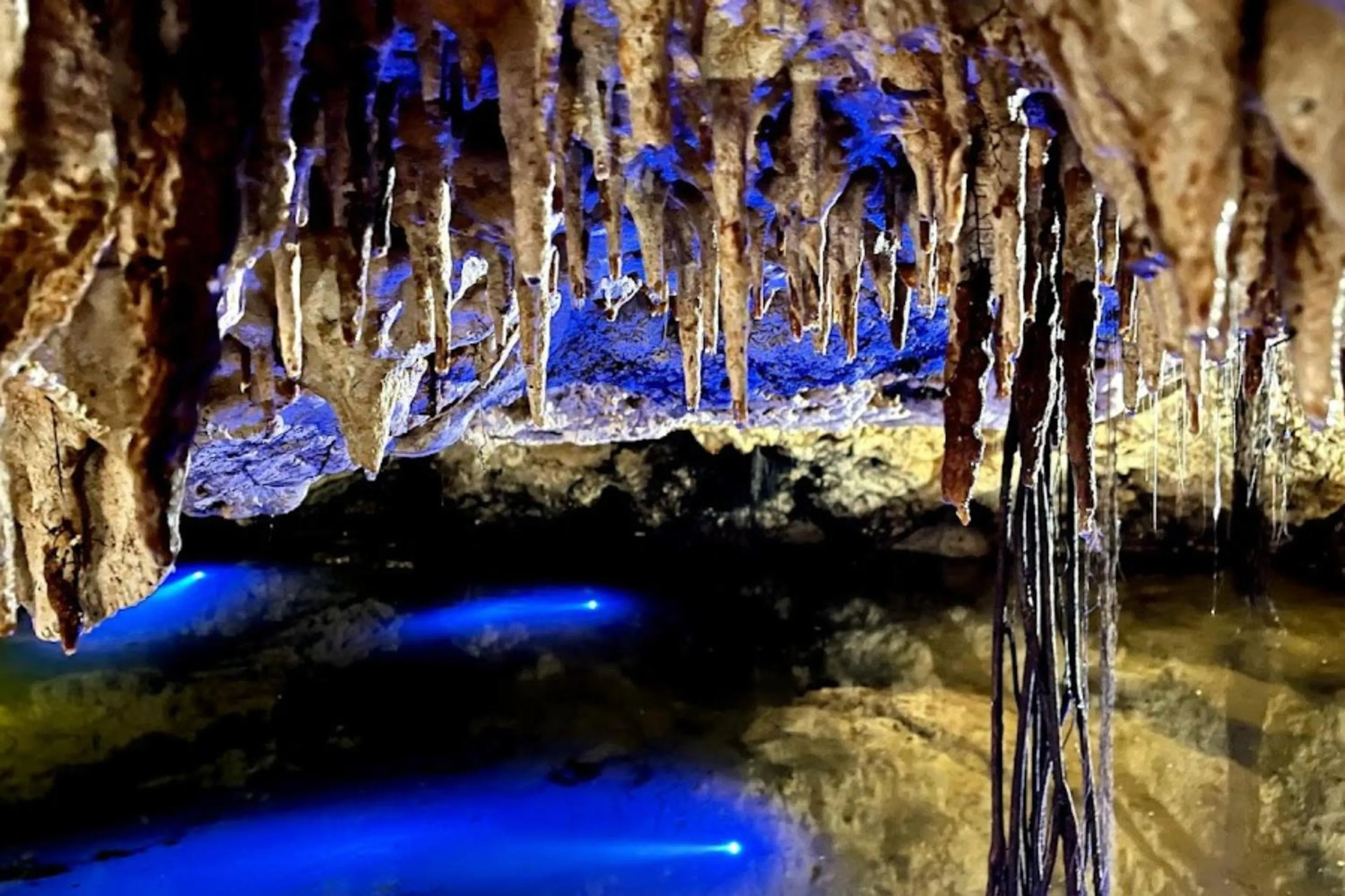 Natural landscape in The Waves Tulum by BNB Experience