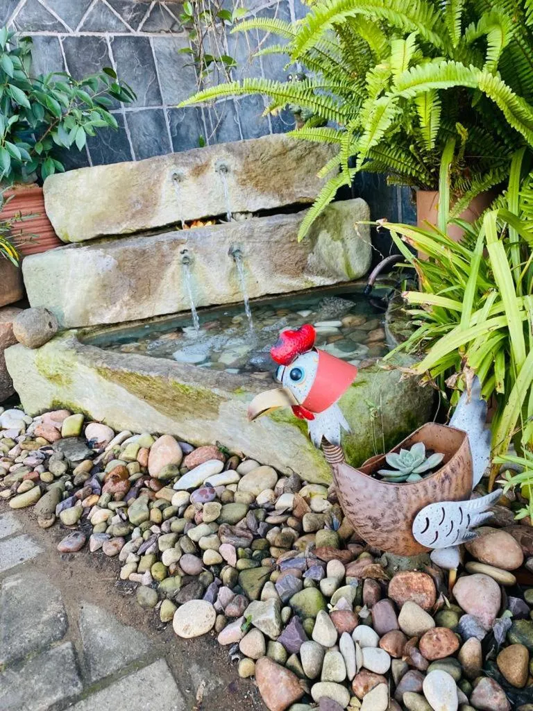 Property building in Cottonwood Guesthouse Oasis