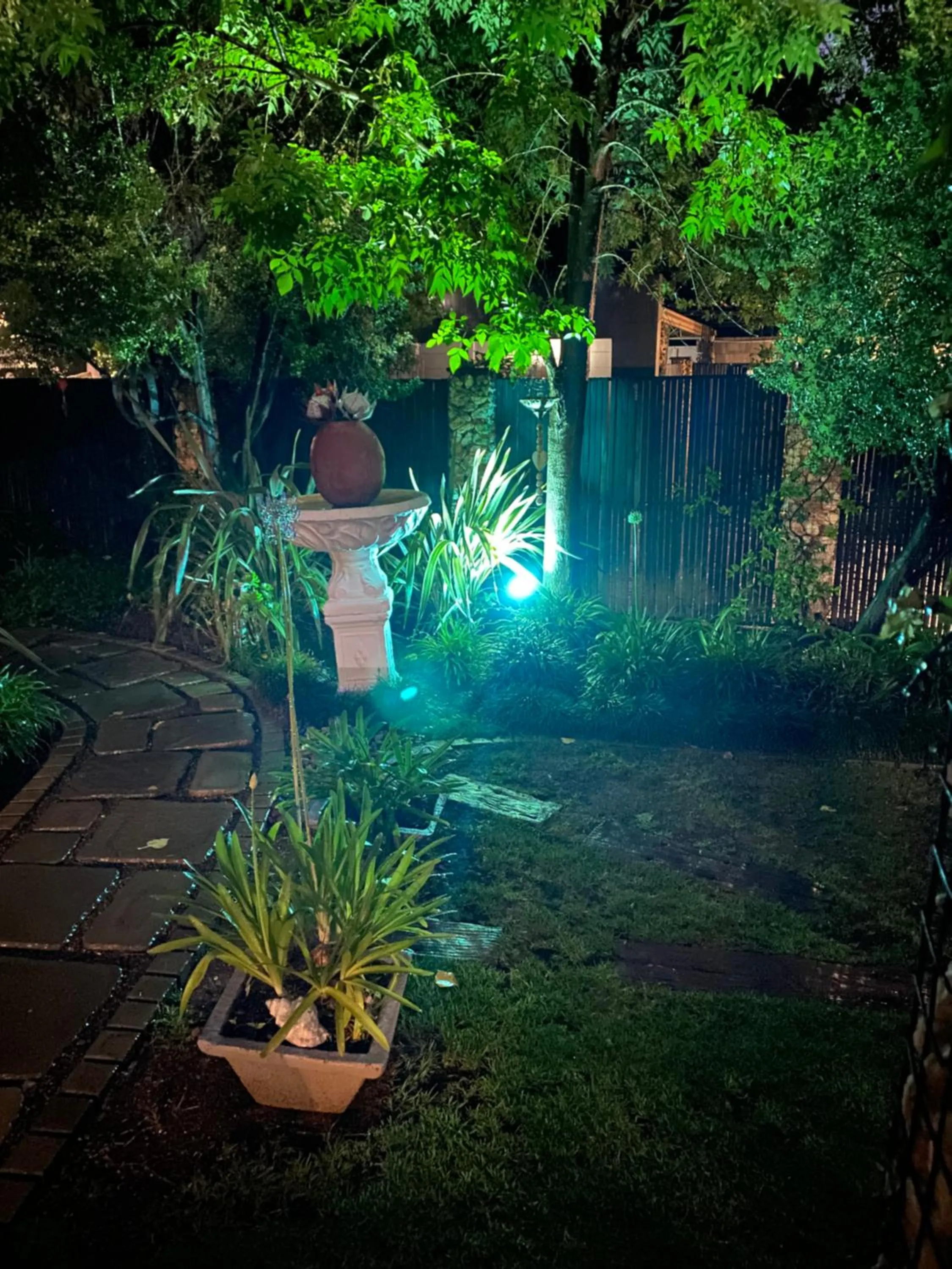 Garden view in Cottonwood Guesthouse Oasis