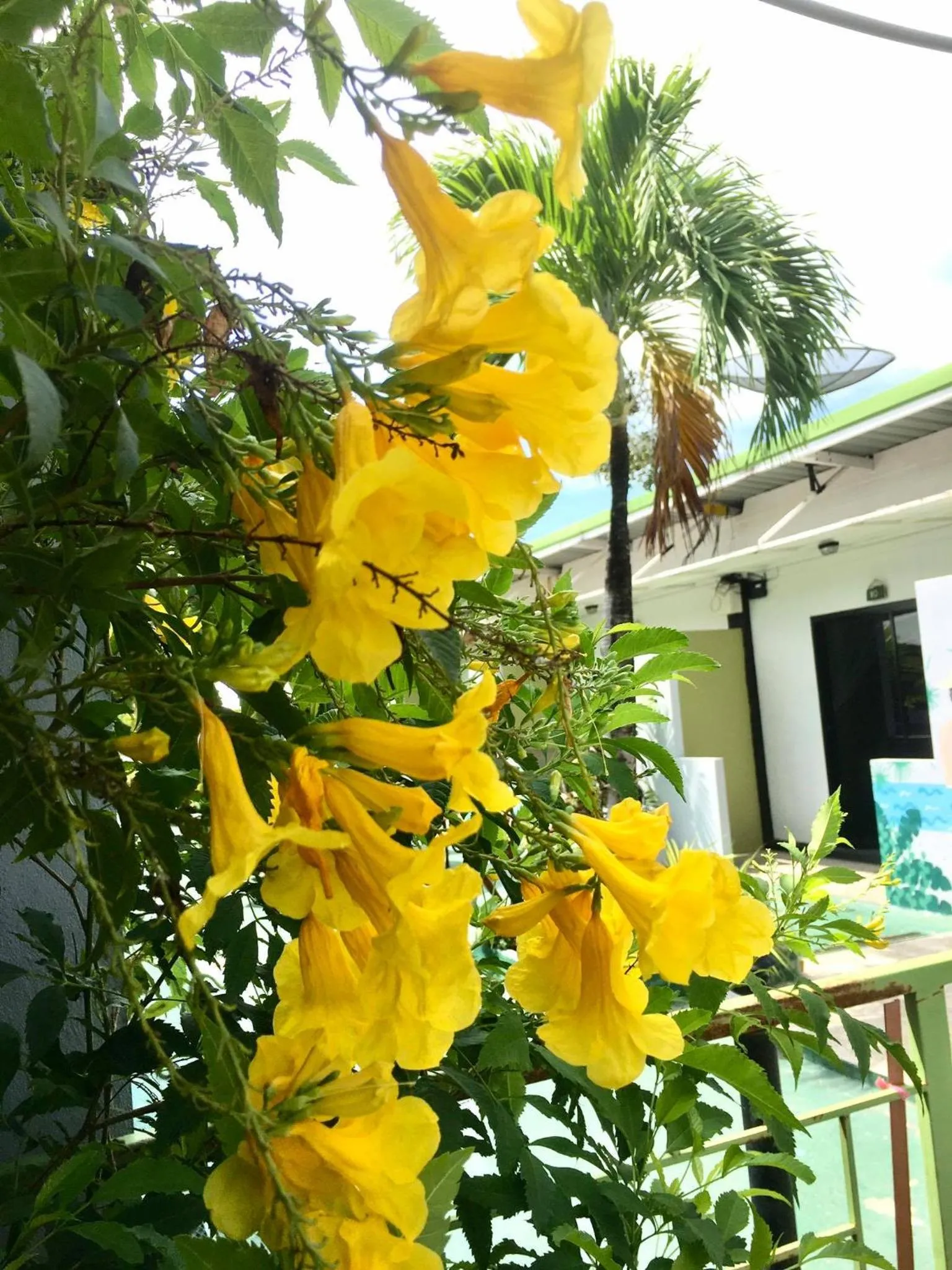 Facade/entrance in Rawai Whale Resort