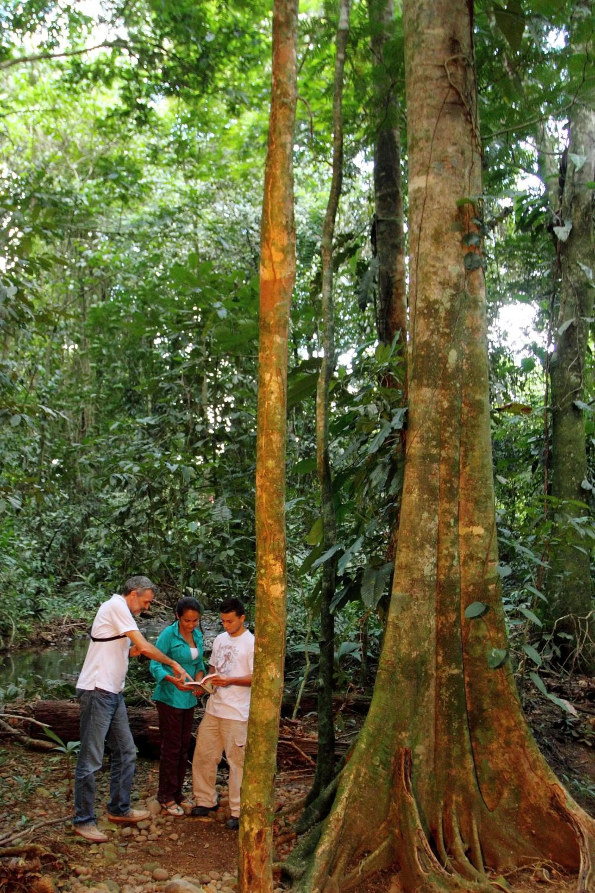 Hacienda La Isla Lodge