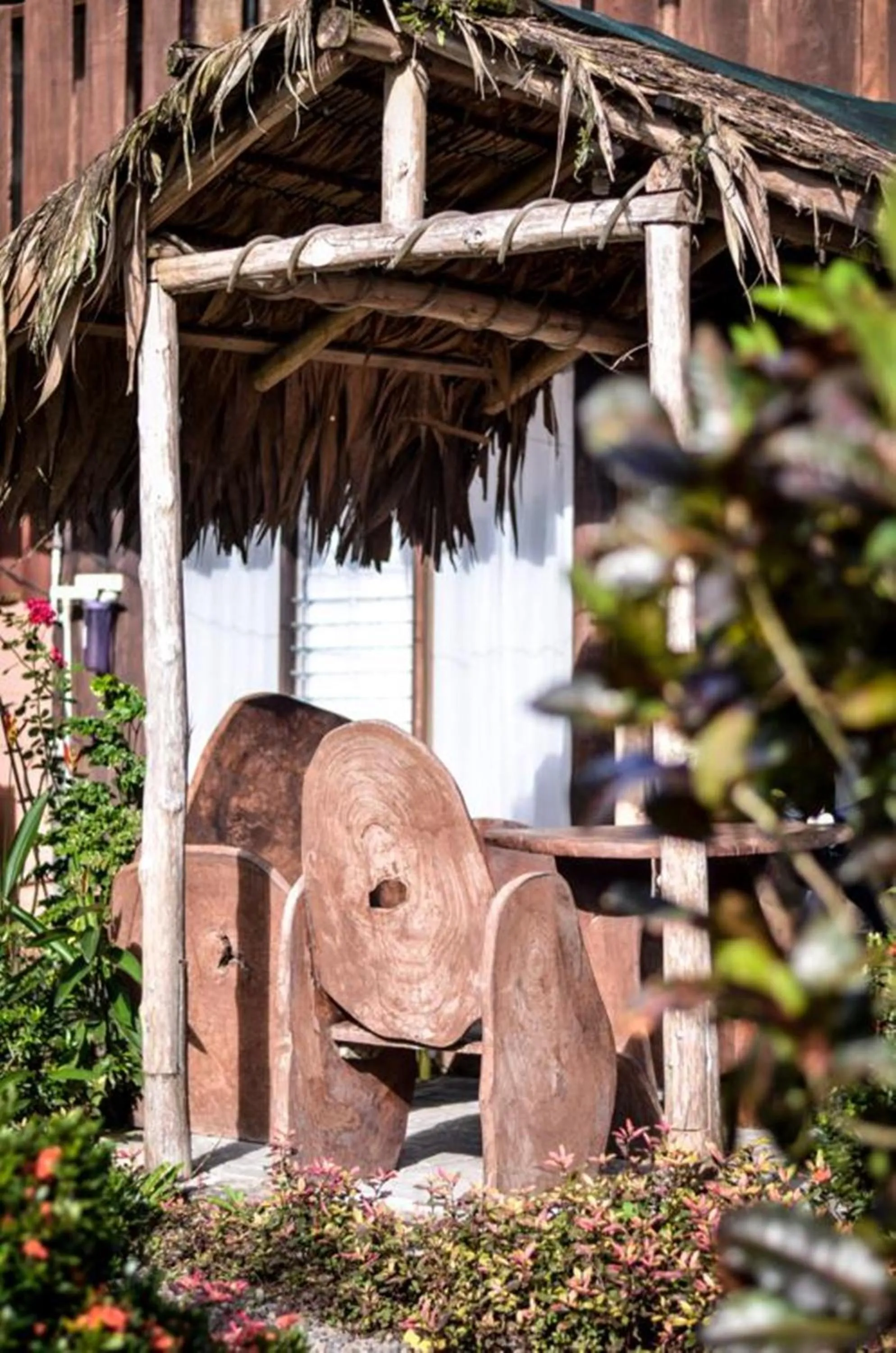 Garden in Hotel La Choza Inn