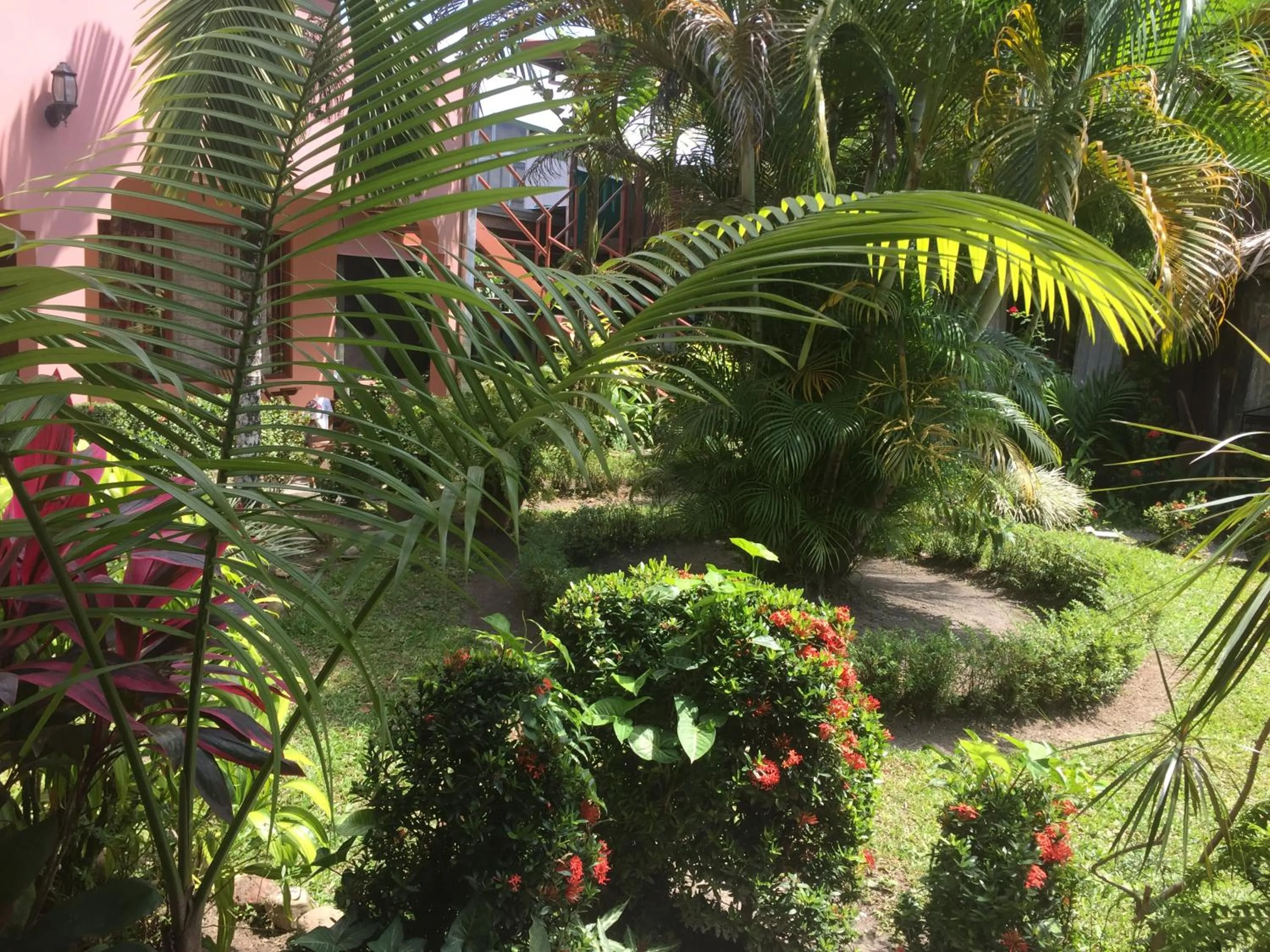 Garden in Hotel La Choza Inn