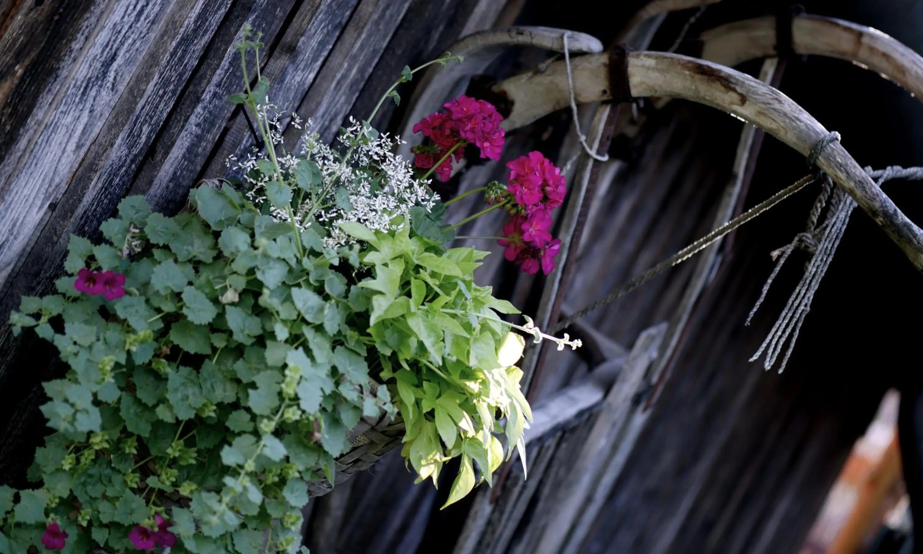 Garden in Apparthotel Ederfeld