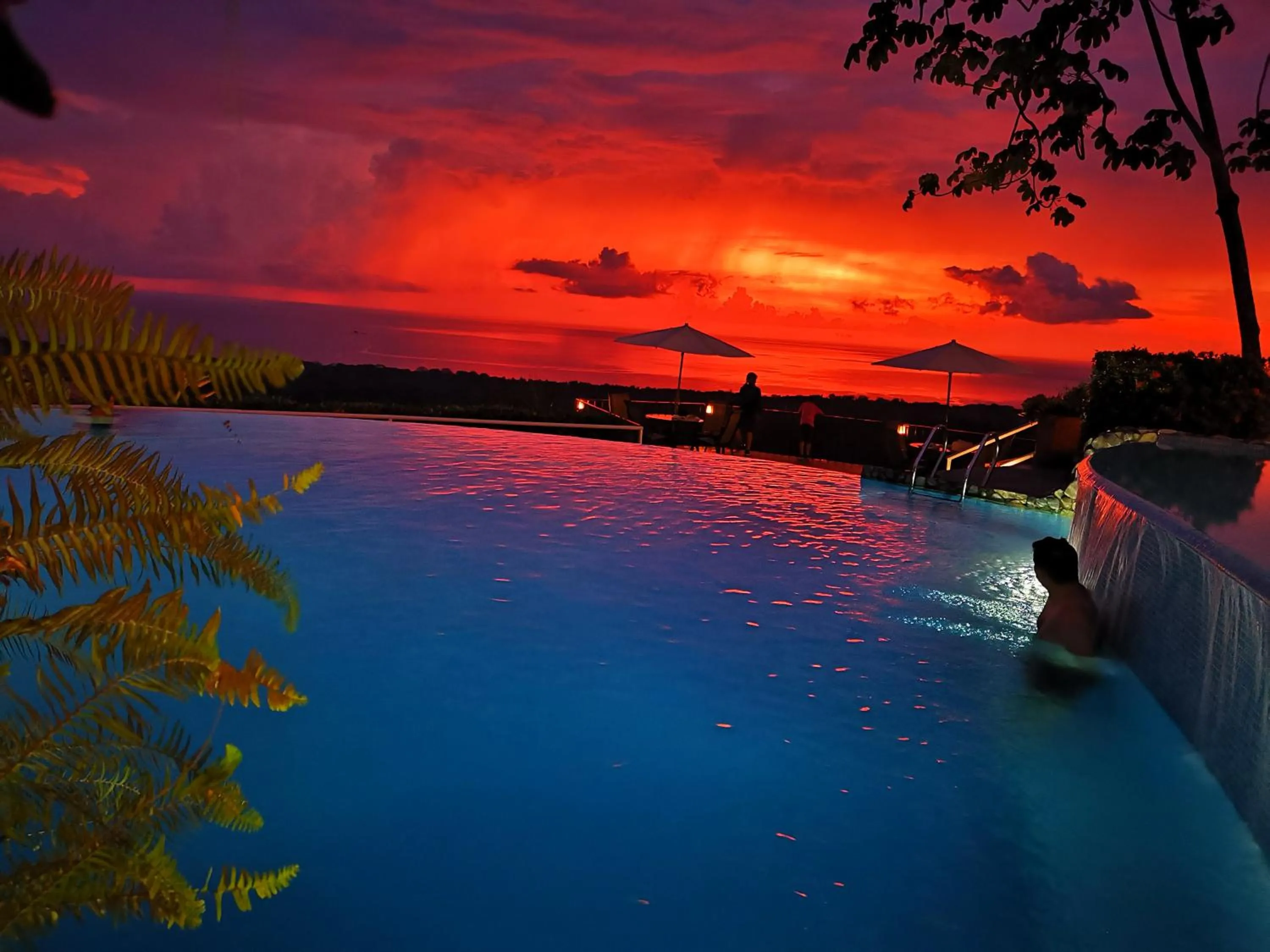 View (from property/room) in Vista Ballena