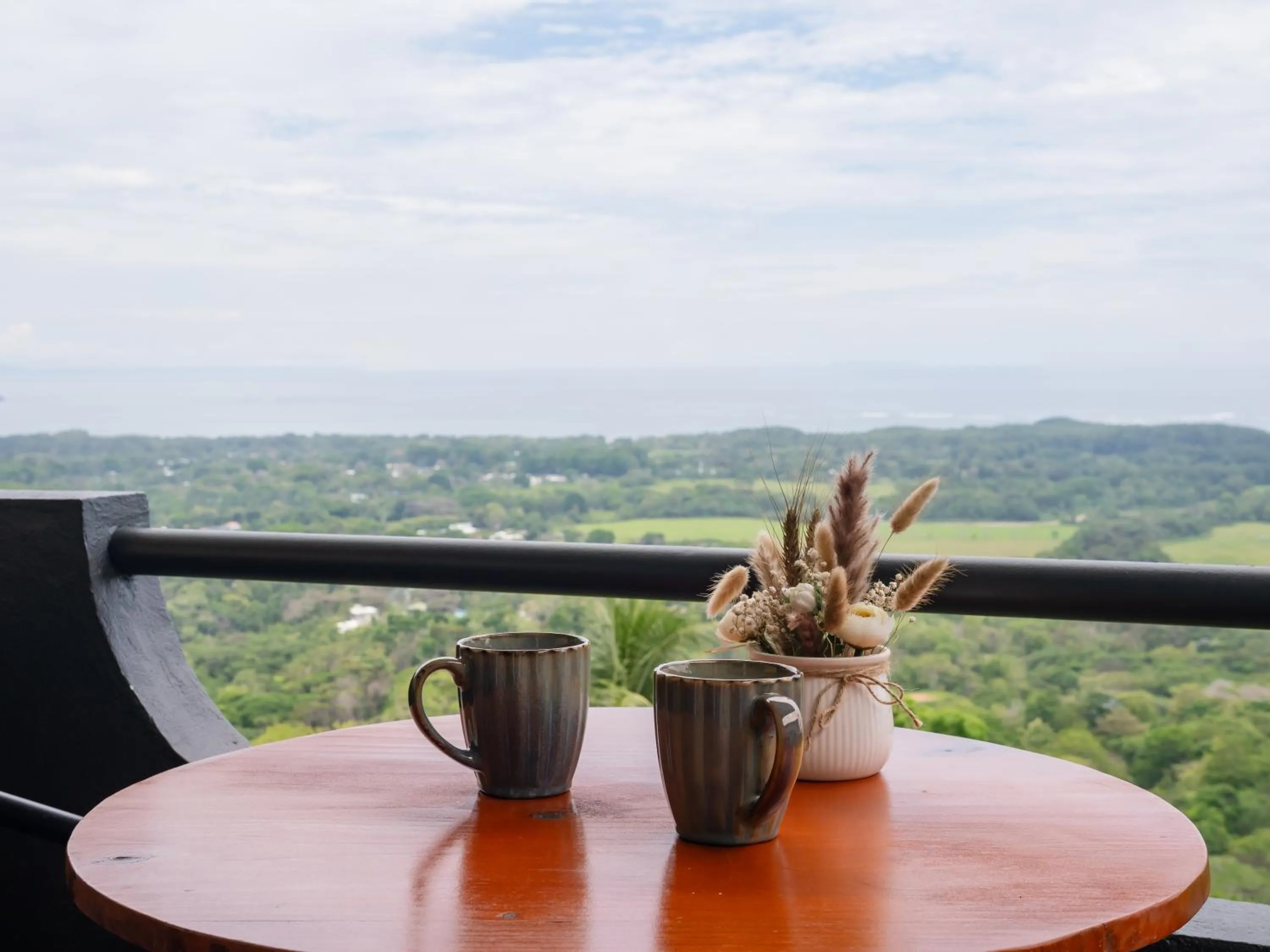 Sea view in Vista Ballena