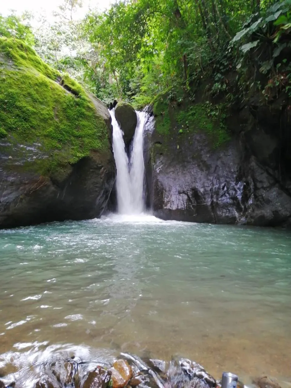 Natural landscape in Vista Ballena