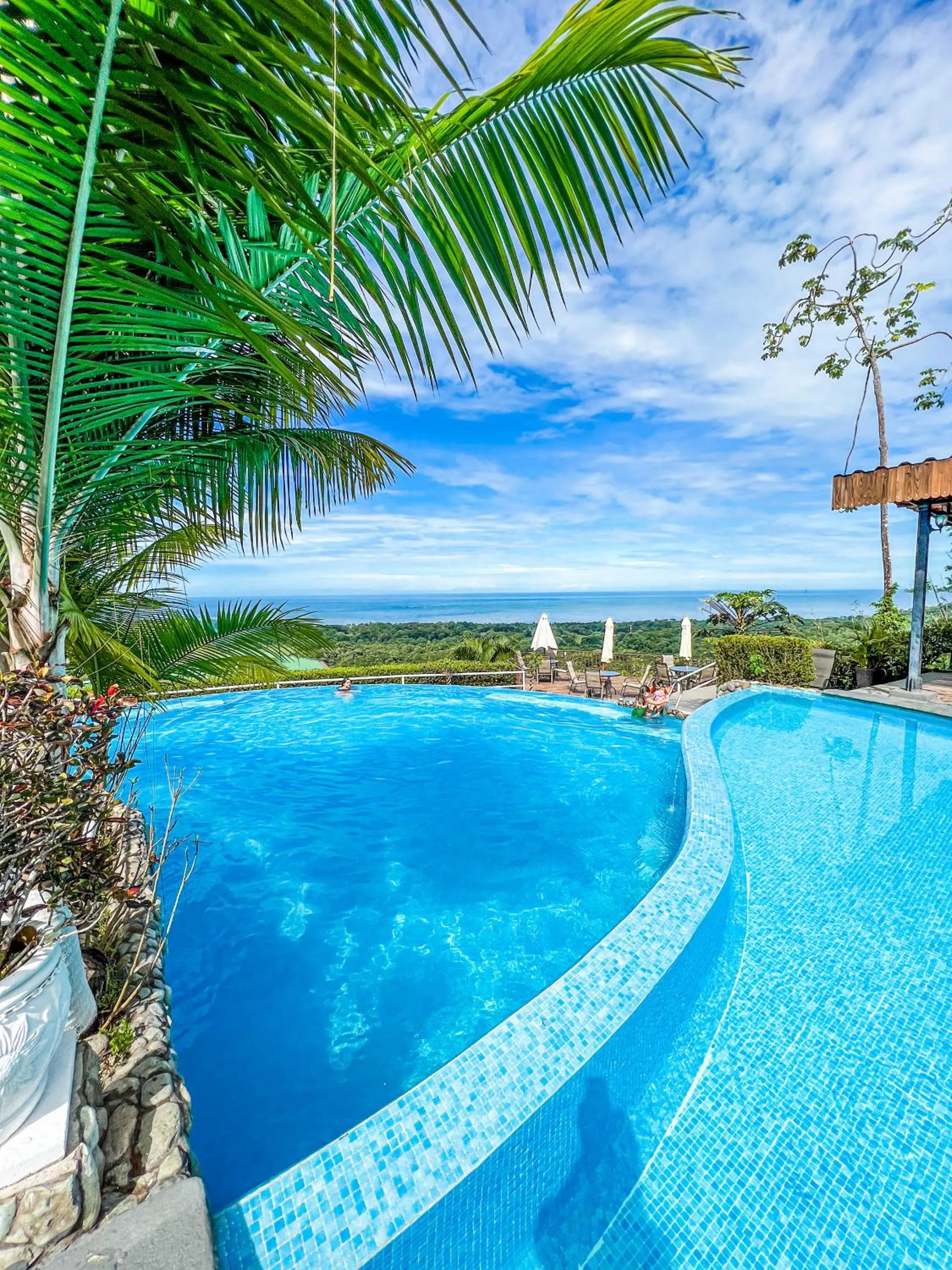 Swimming pool in Vista Ballena