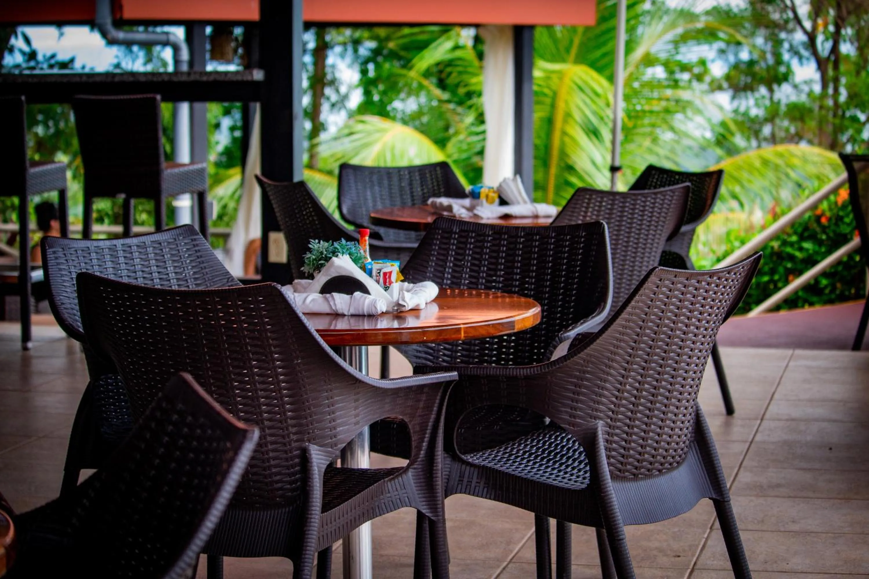 Lounge or bar in Vista Ballena