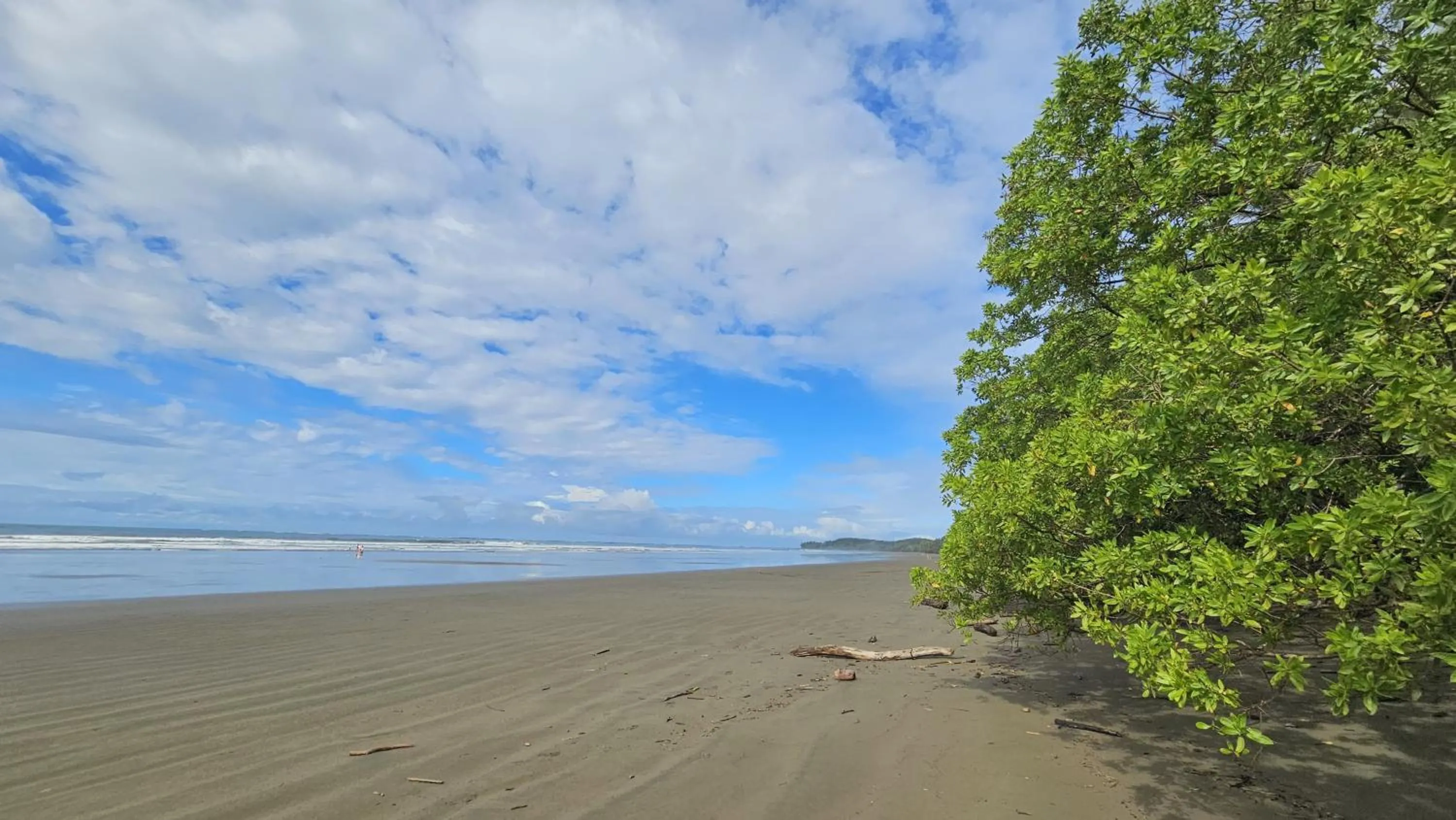 Natural landscape in Vista Ballena