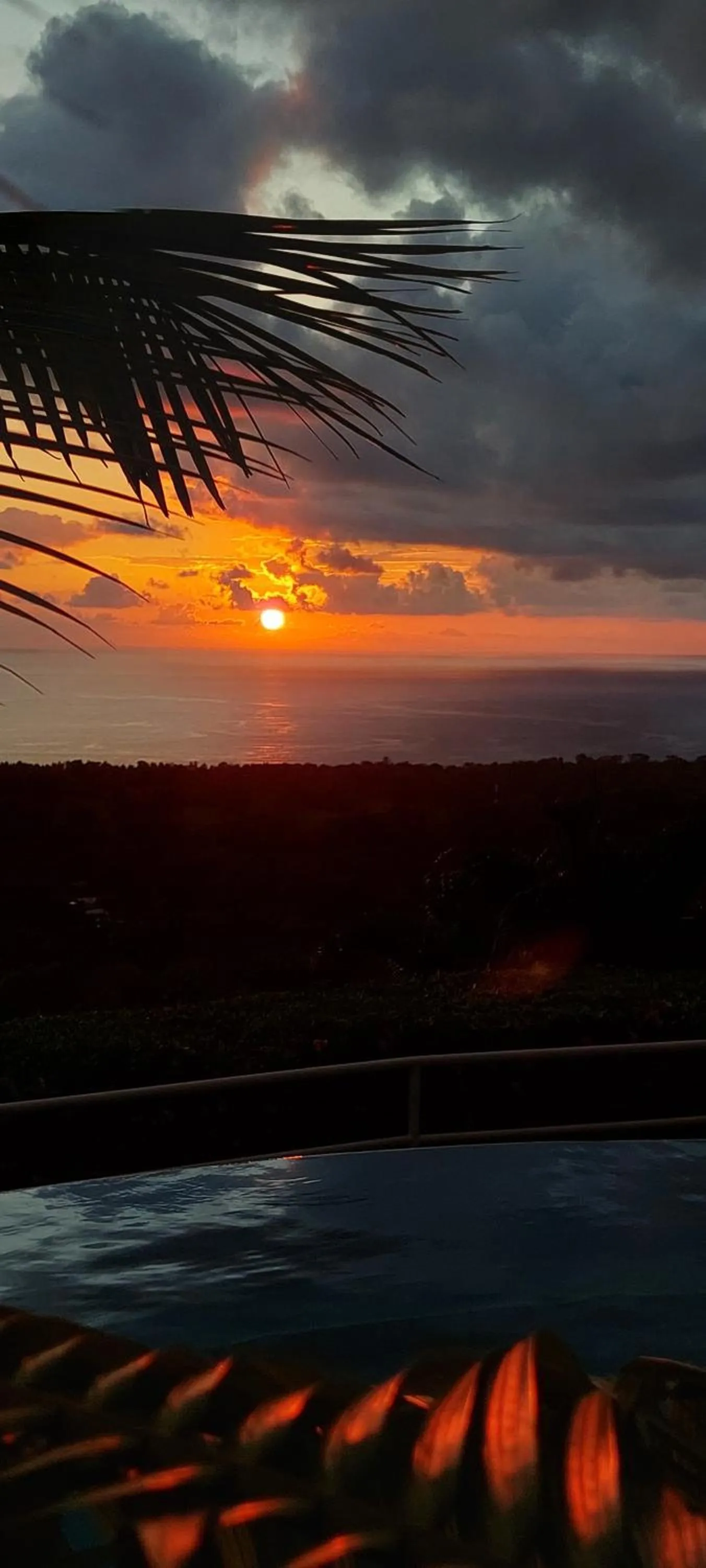 Natural landscape in Vista Ballena