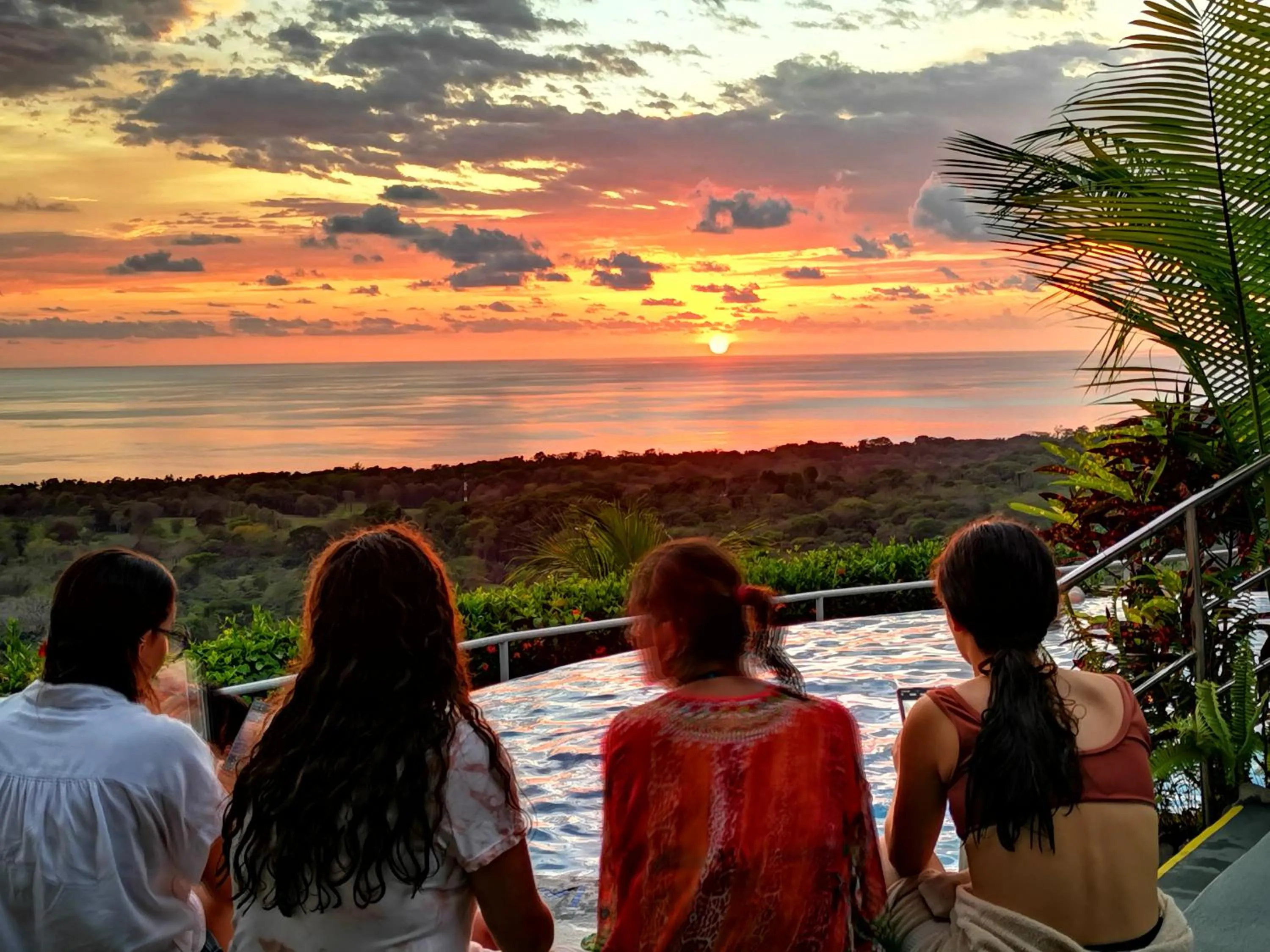 Bird's eye view in Vista Ballena